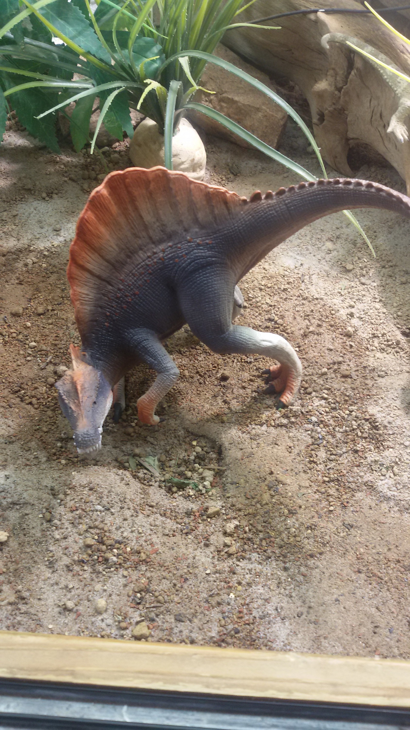 Spino am vertrockneten Wasserloch