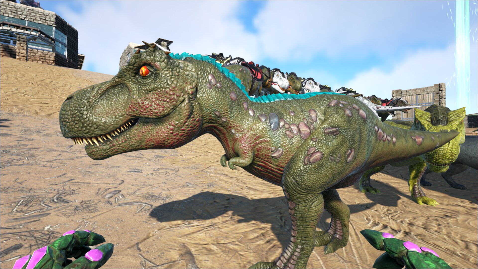 Farbmutation die 1.