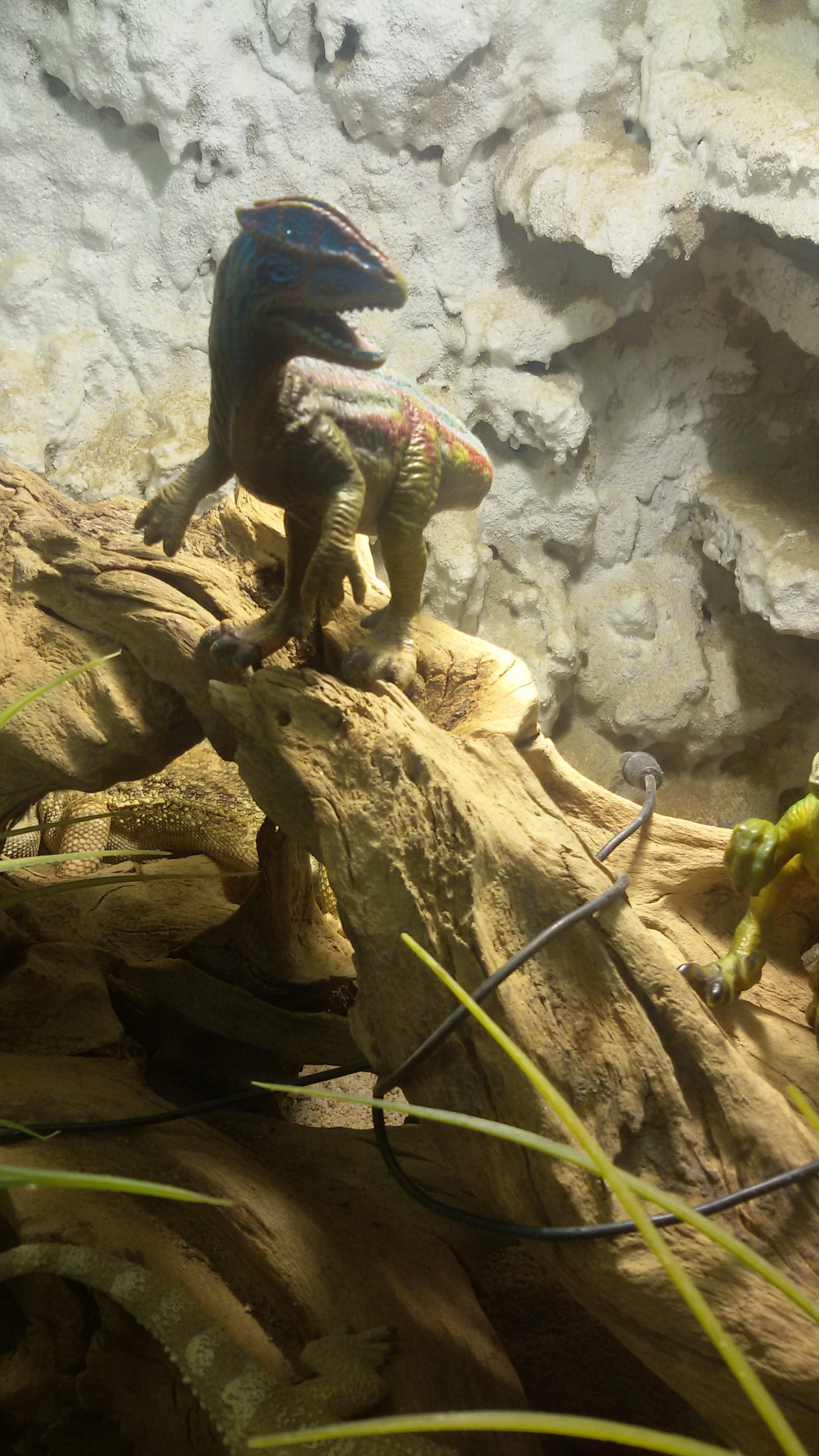 Dilophosaurus am klettern