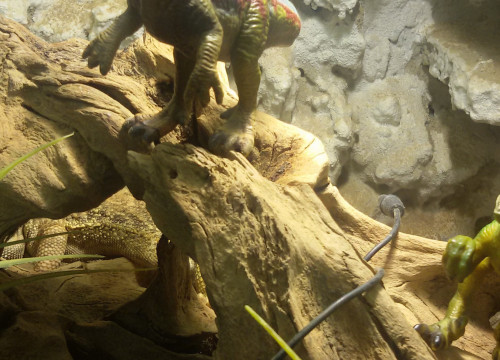 Dilophosaurus am klettern