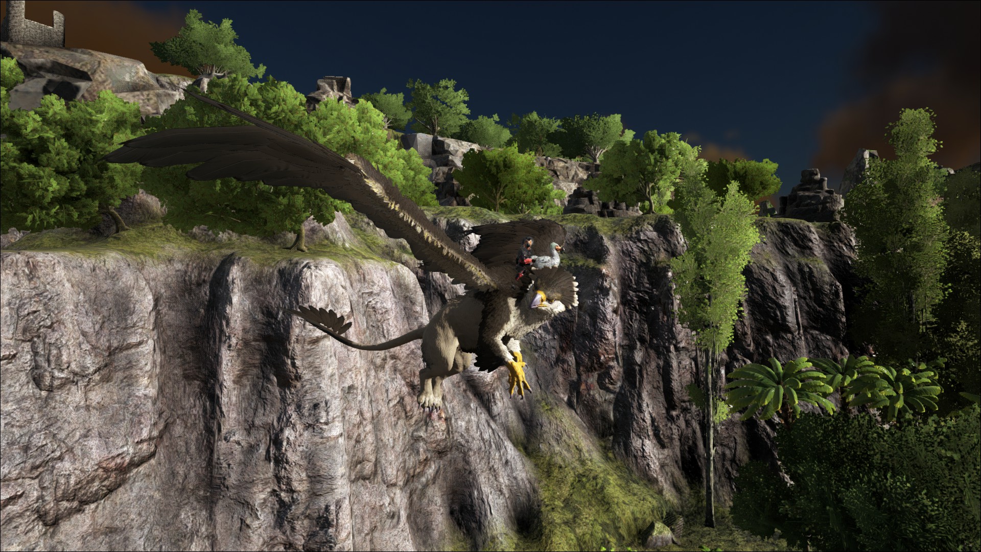 Neuster Hype: Griffin
