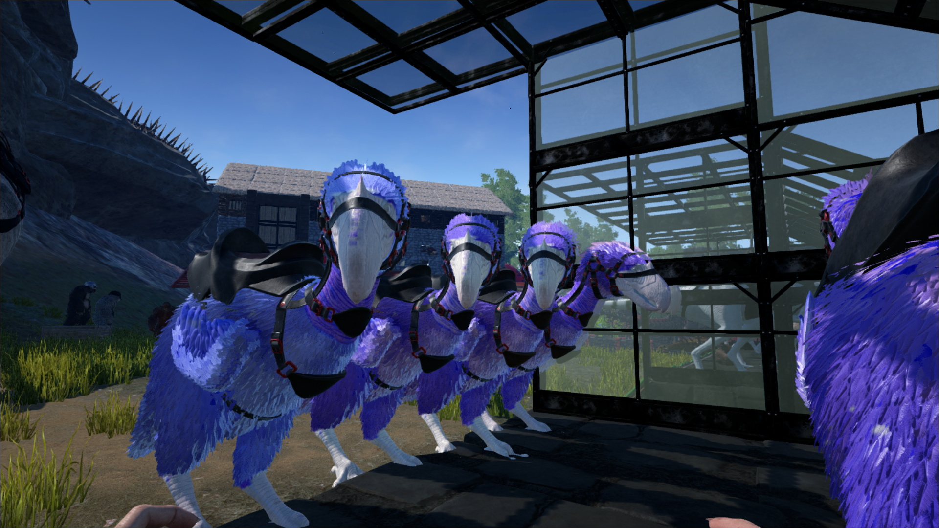 Terror Birds