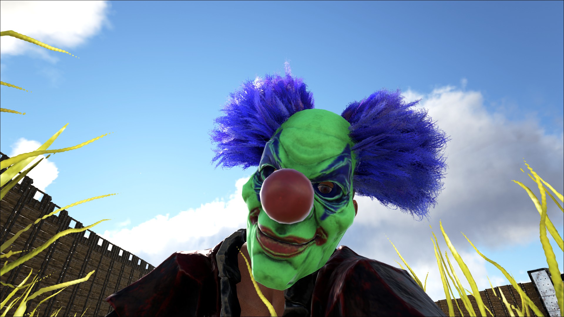 Clown'sTage