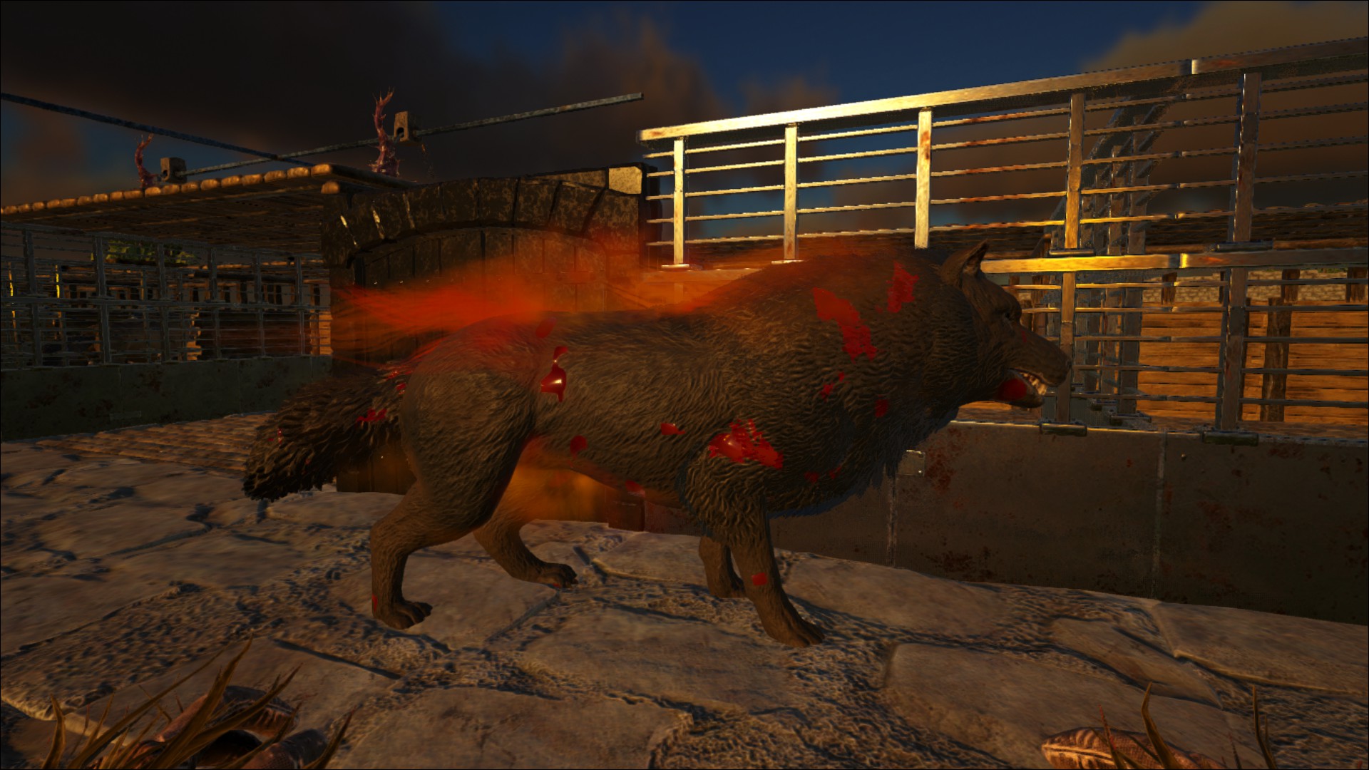 Alpha Tier