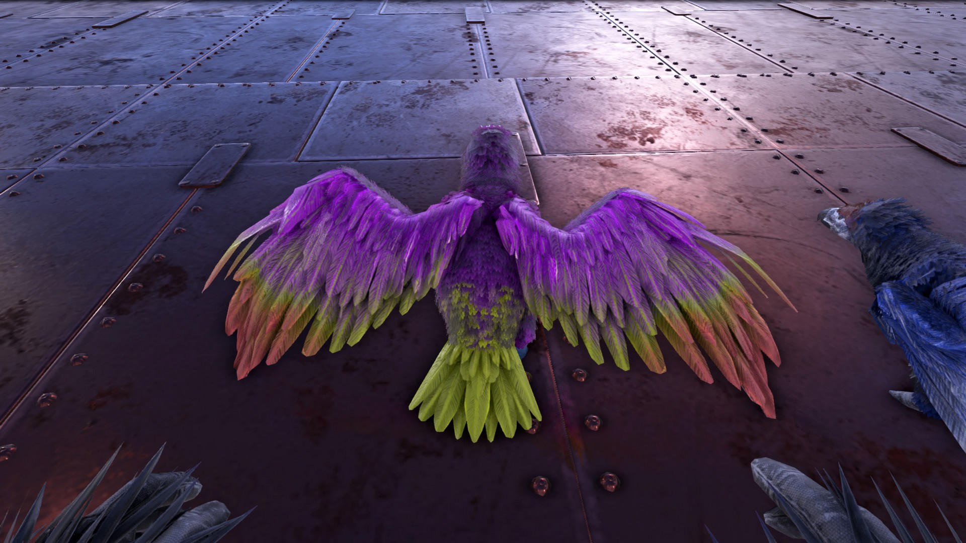 Argentavis X