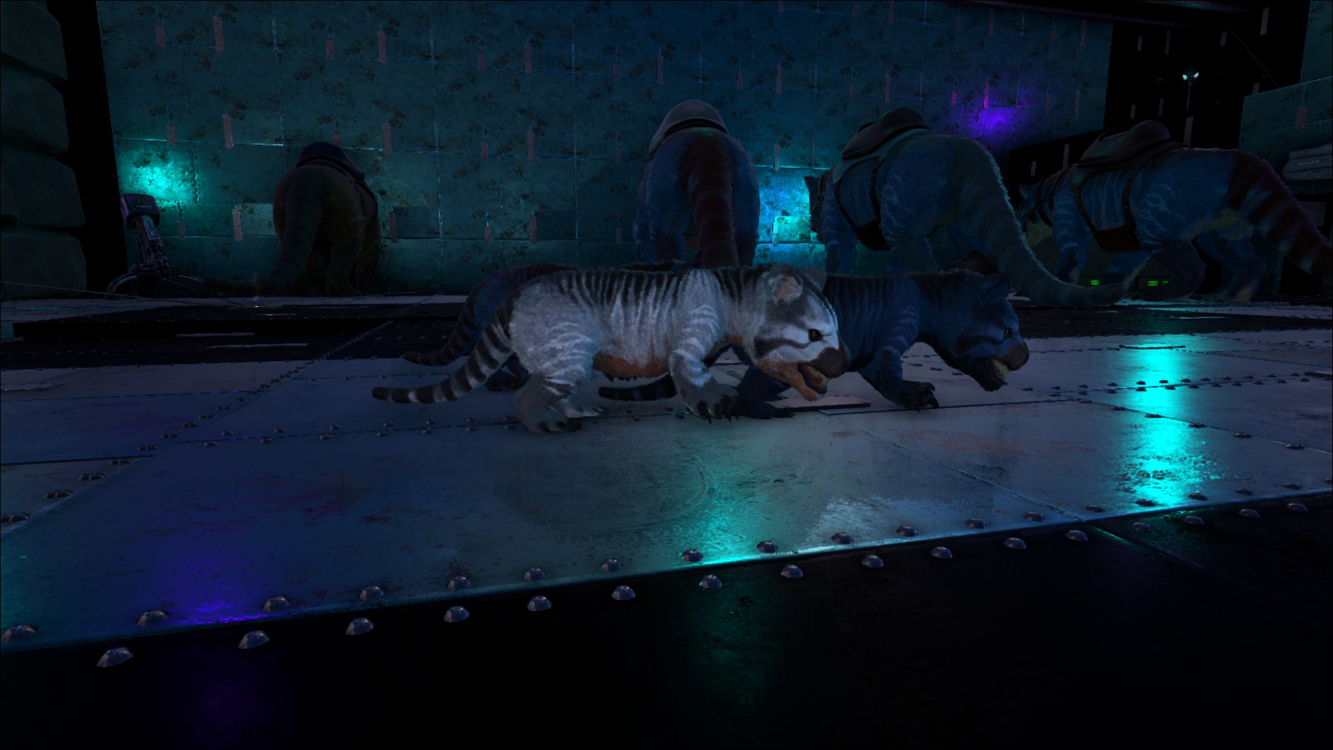 Weißer Thylacoleo <3