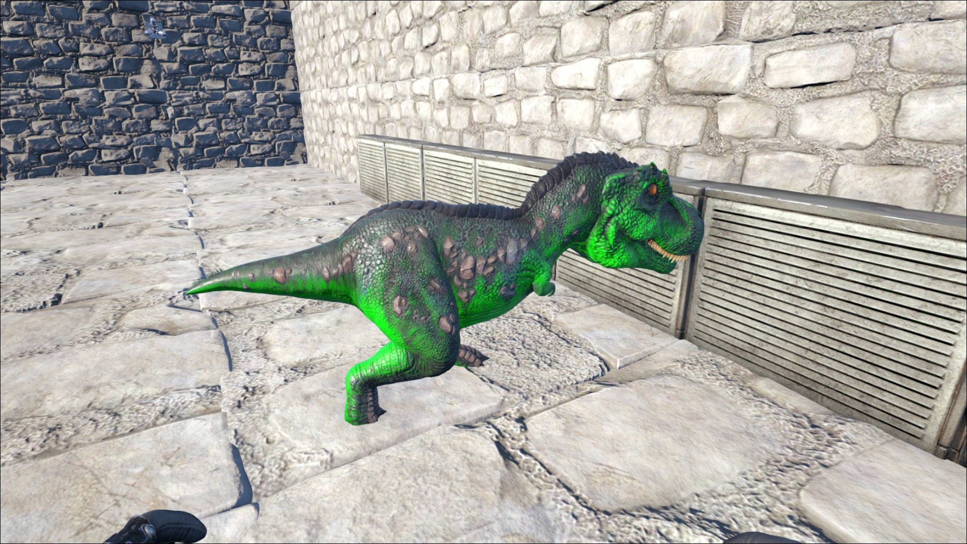 Erster grüner Rex