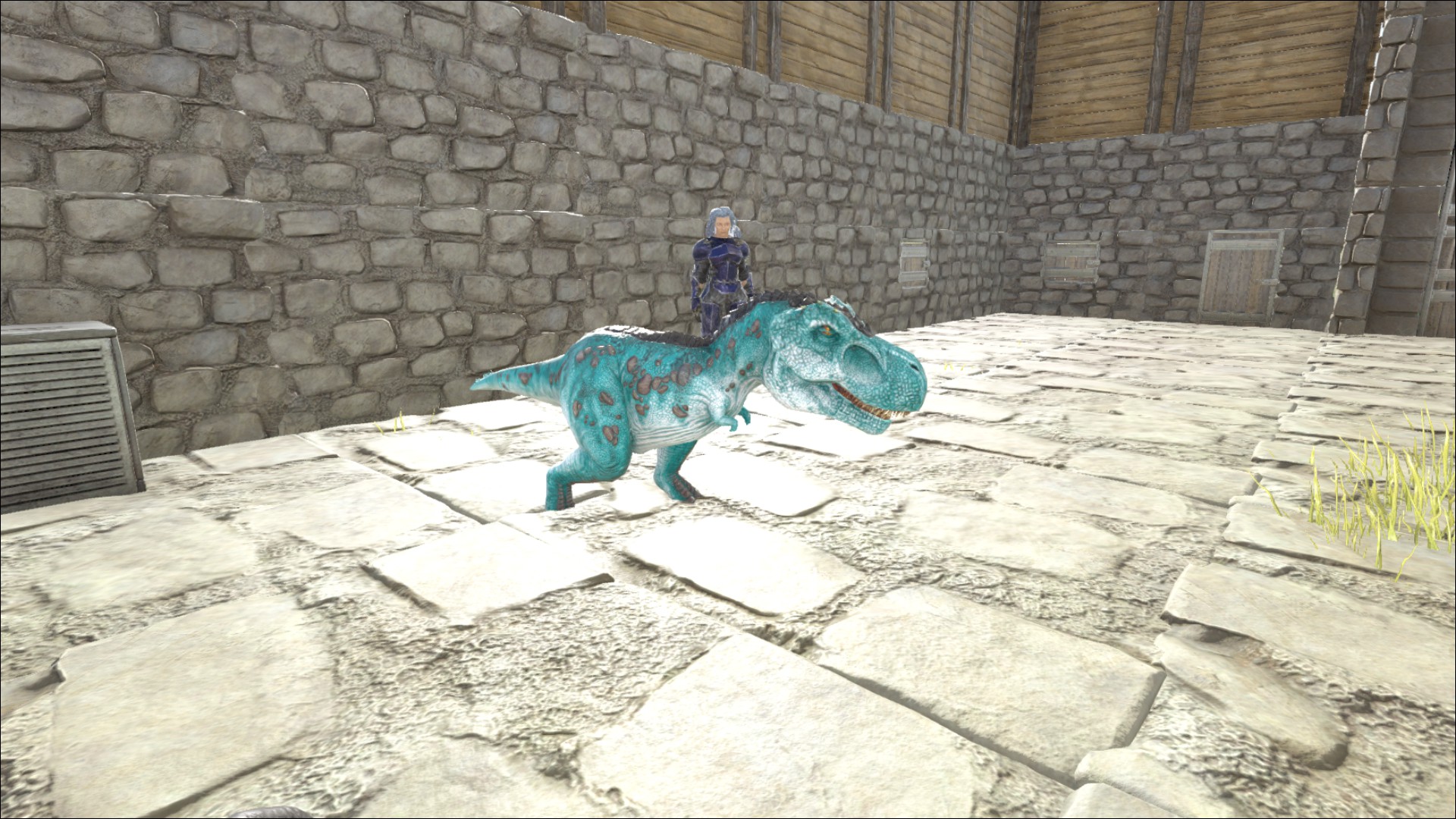 neue Rex Farbmutation