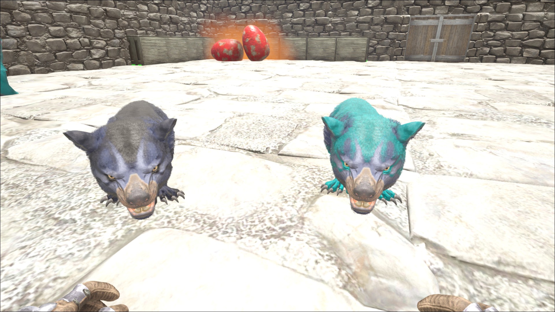 Thyla Babys... so sweet^^