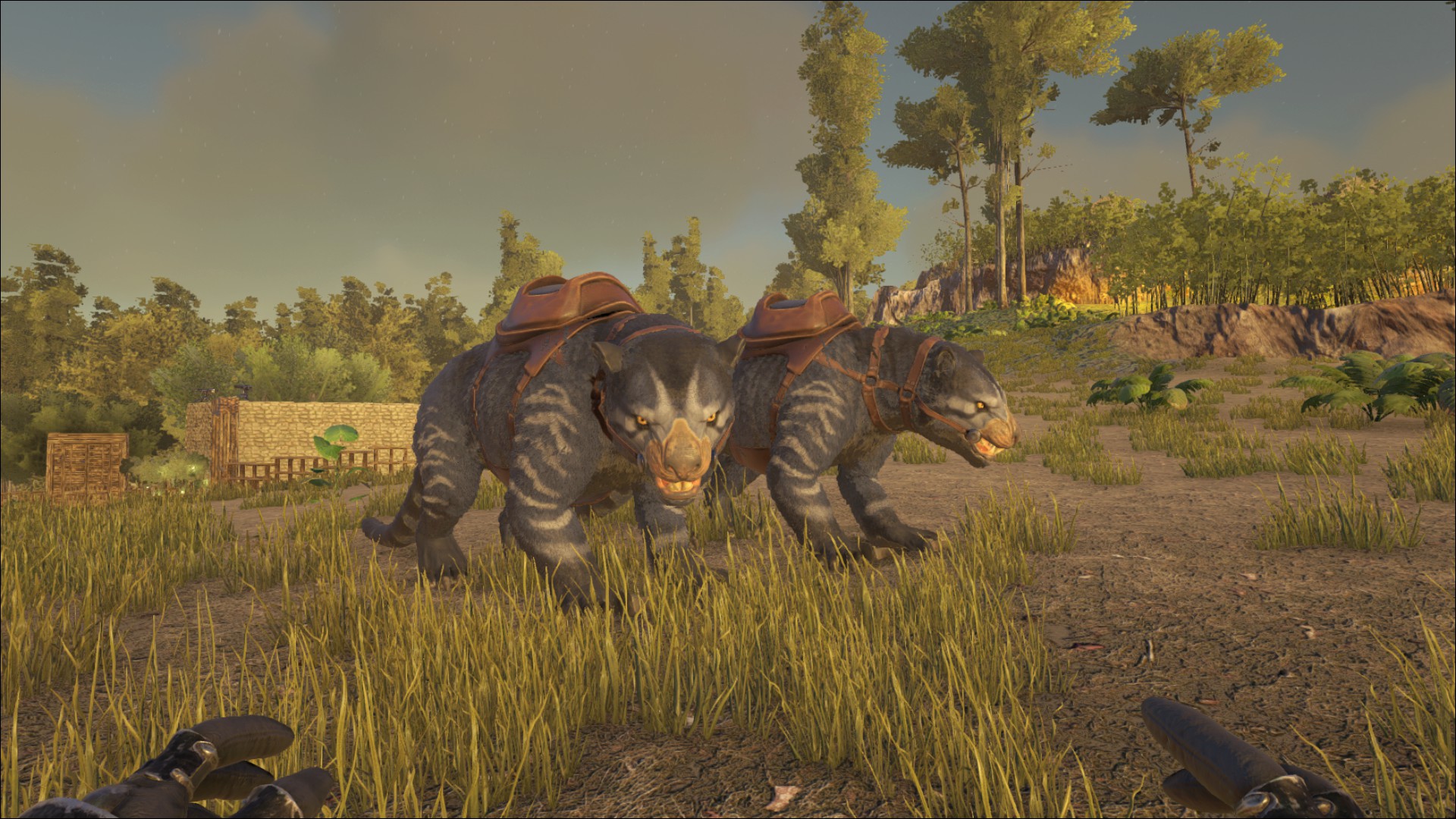 Twins