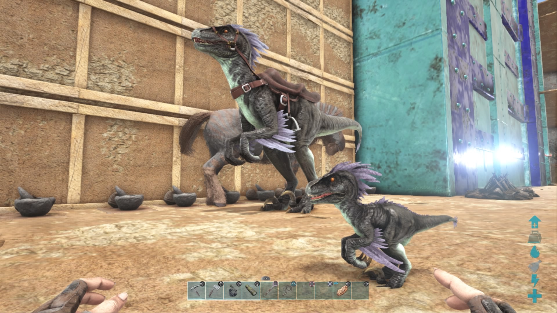 Foto-Crasher