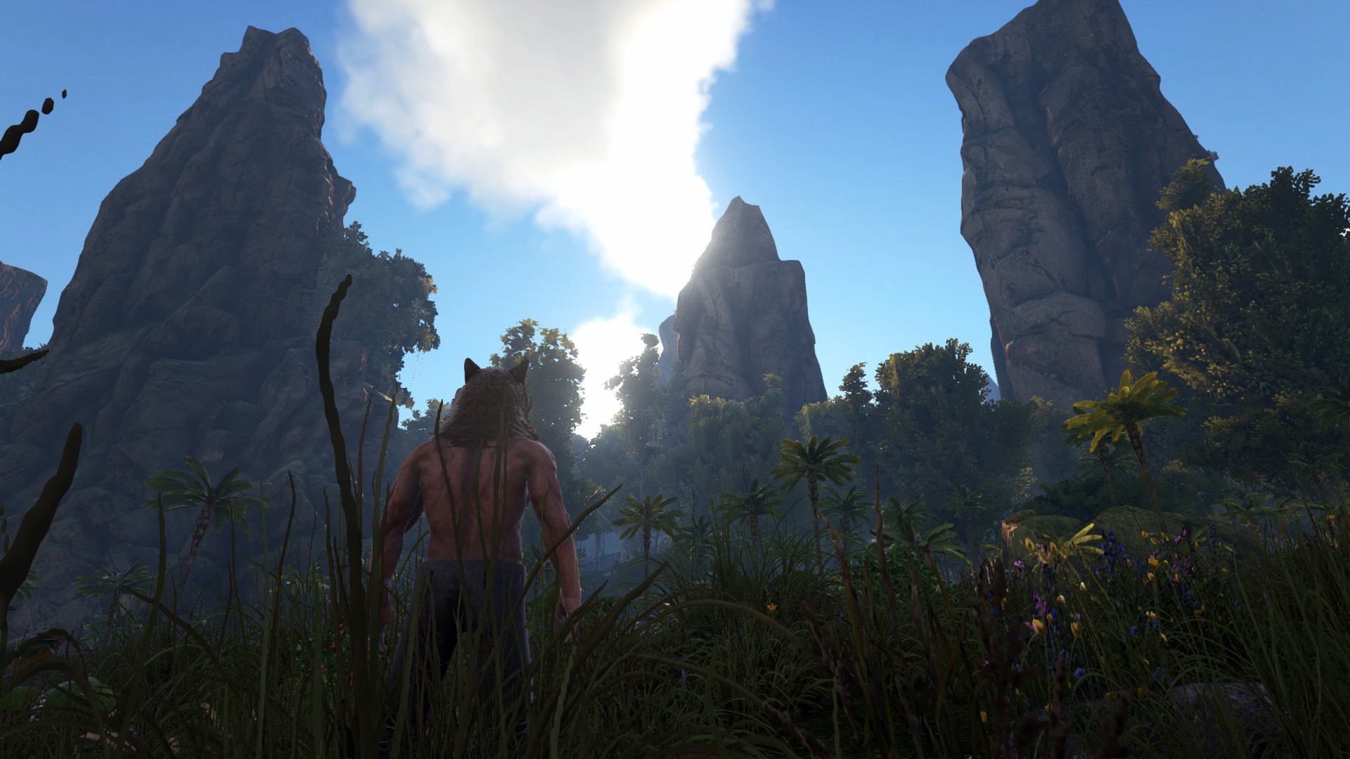 Welcome to the Jungle!