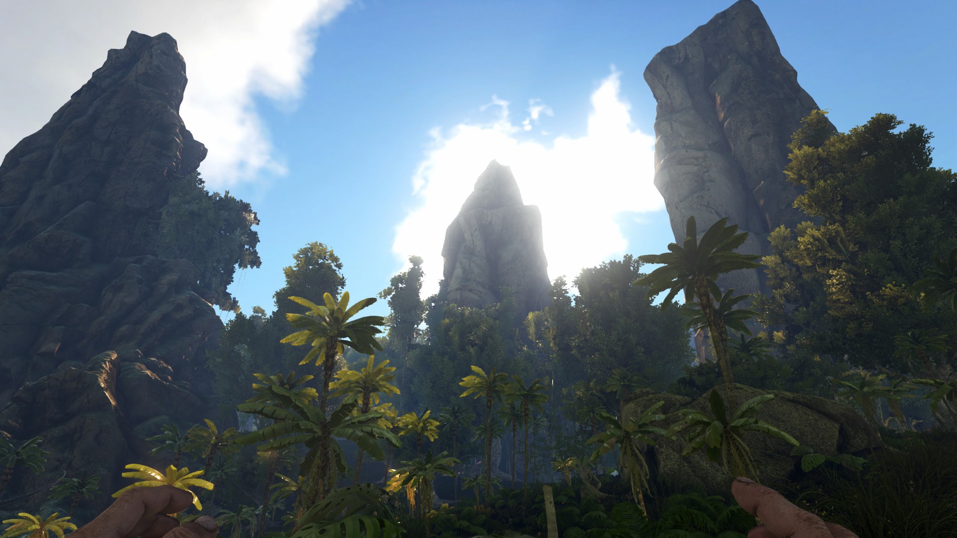 Welcome to the Jungle!