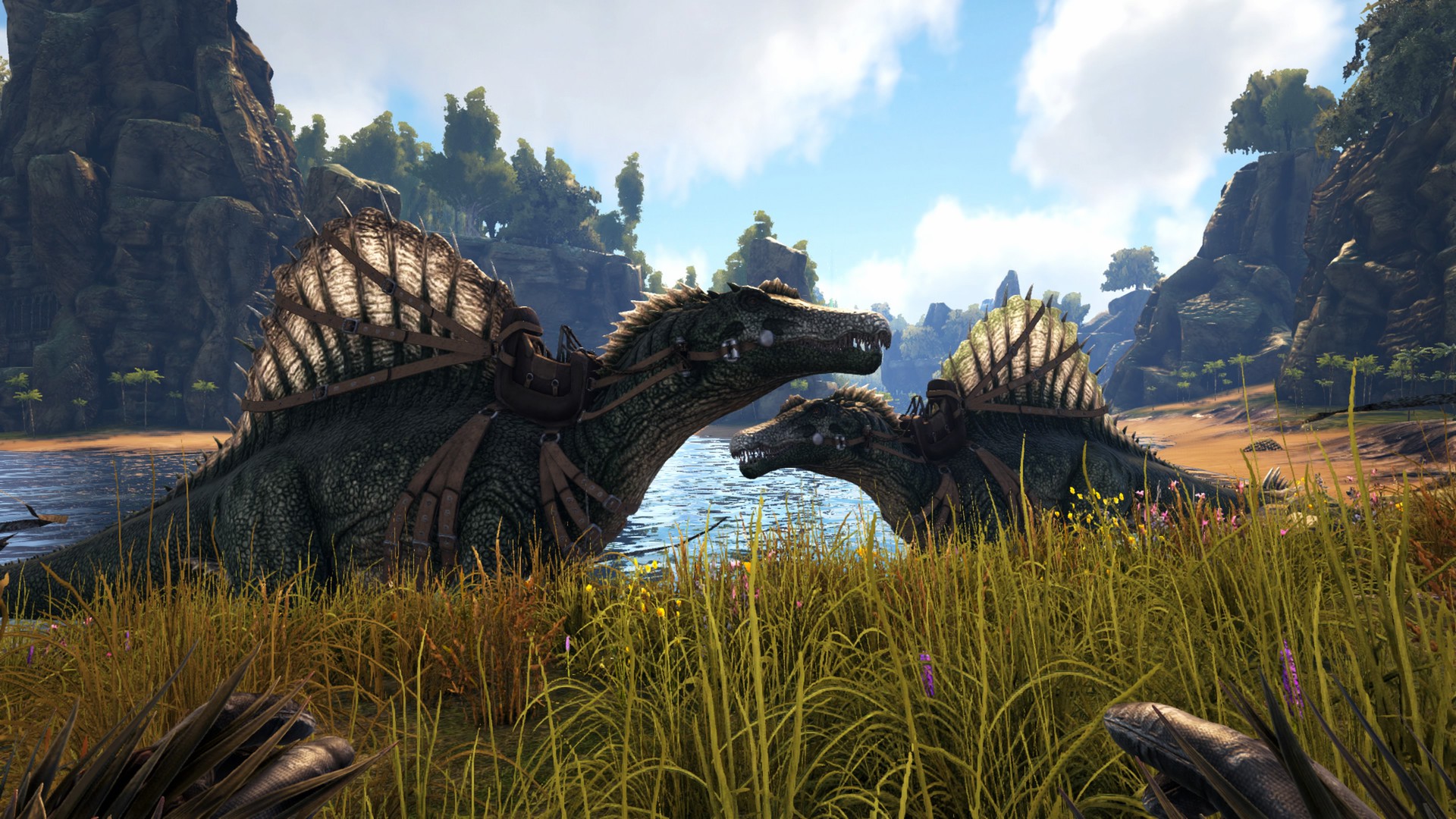 Spinos in Ihrem Gebiet.