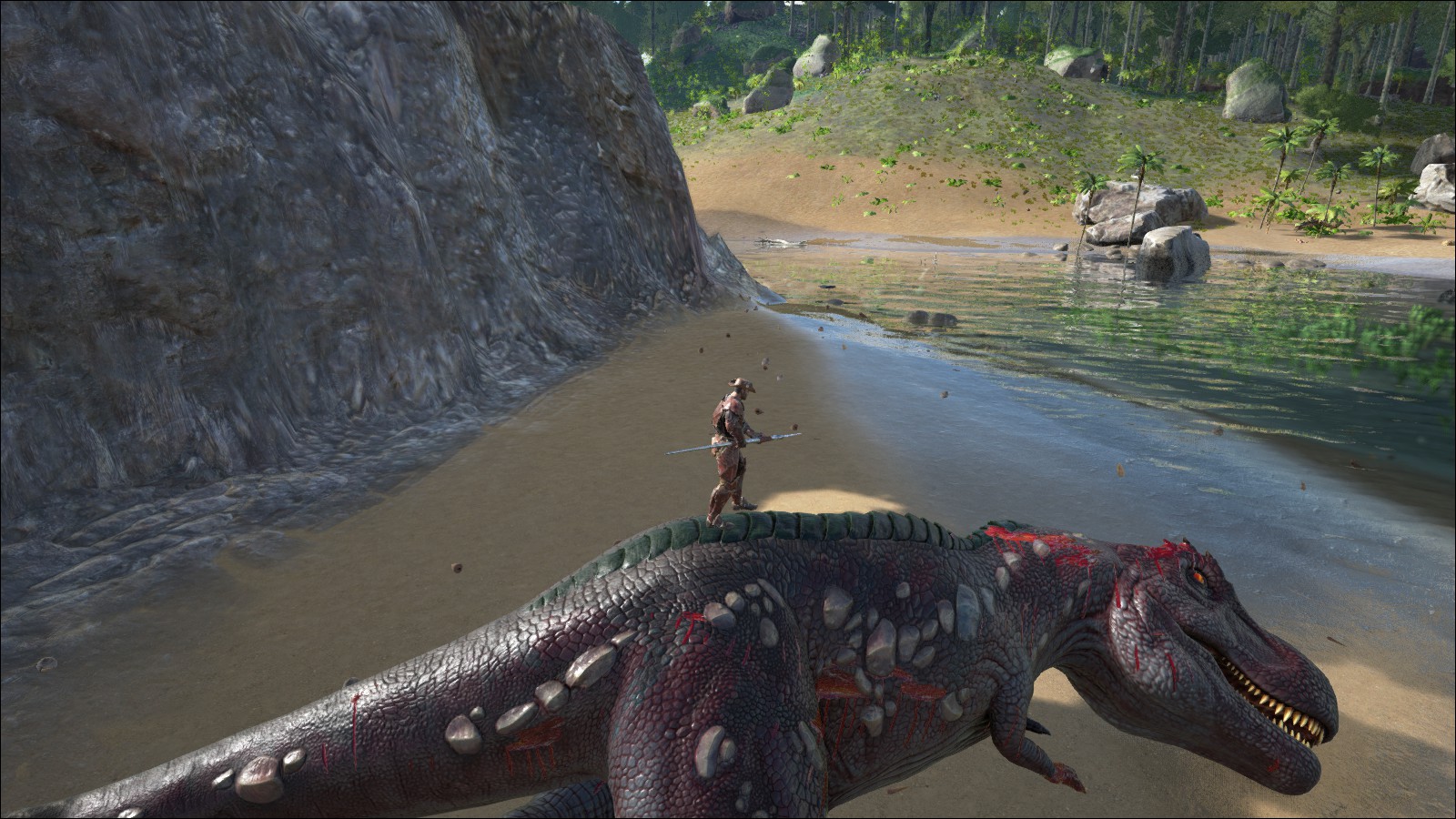 Das war mein erster Rex :)
