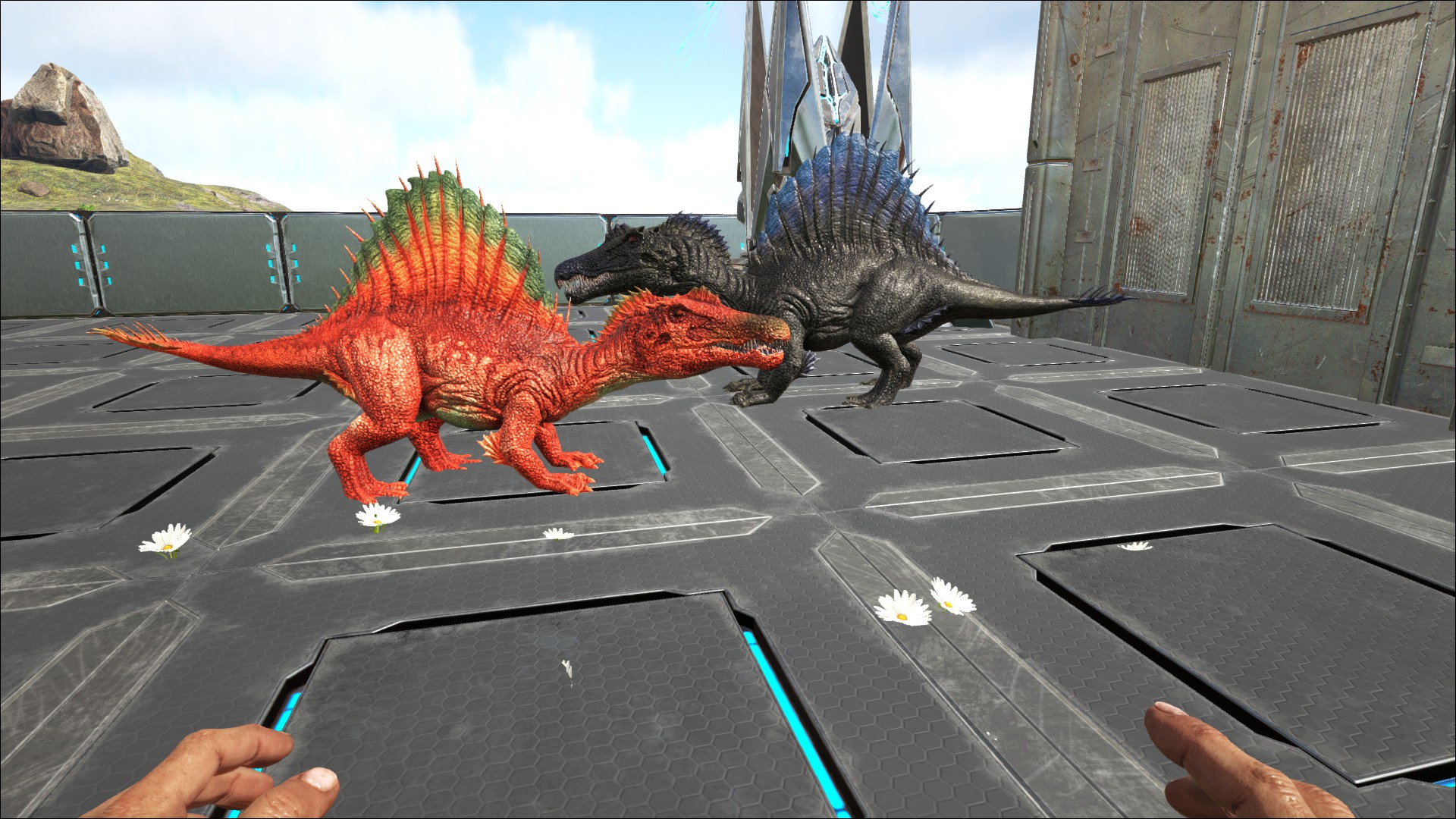 2 neu Spinos