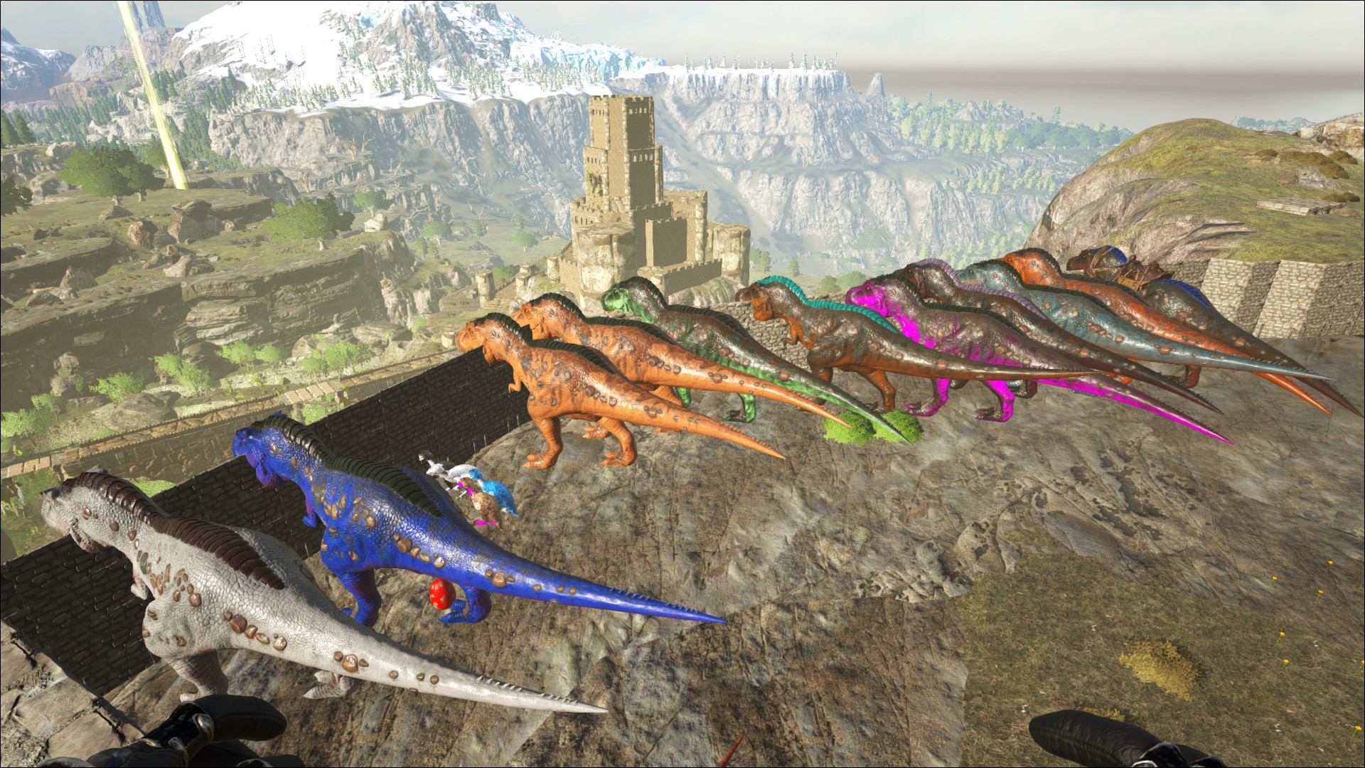 Jede Menge neue Rex Farben