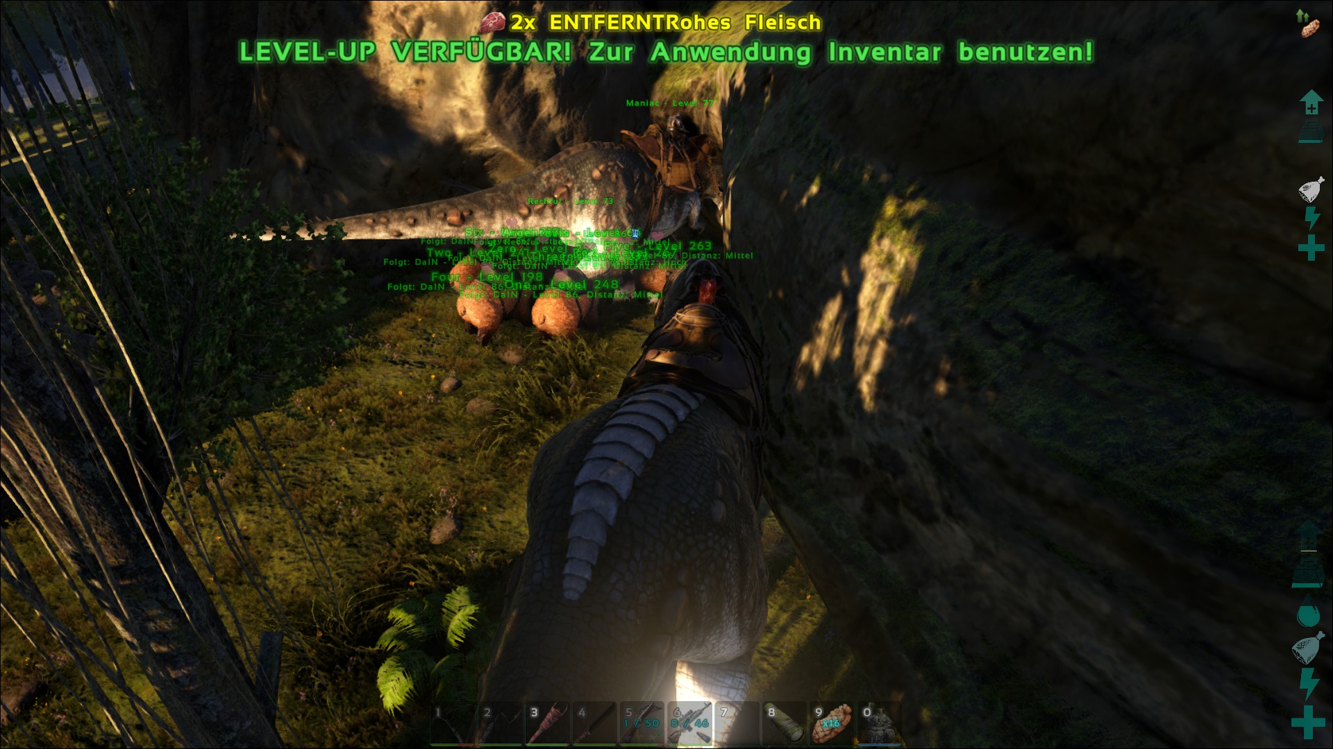 Bear Army vs. Alpha