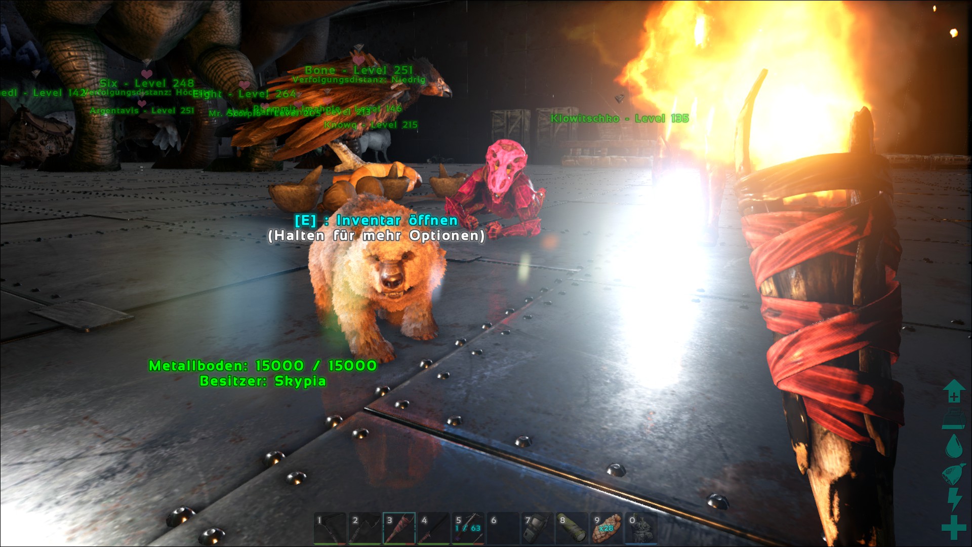 Bear Puppy
