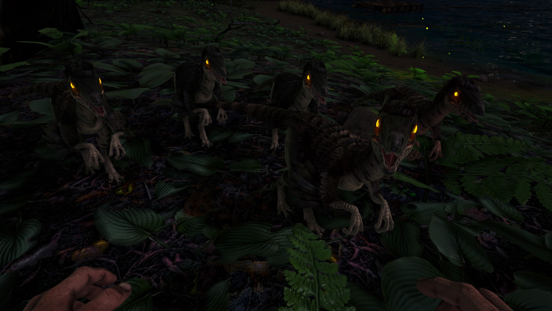 Die ARK Terroristen!