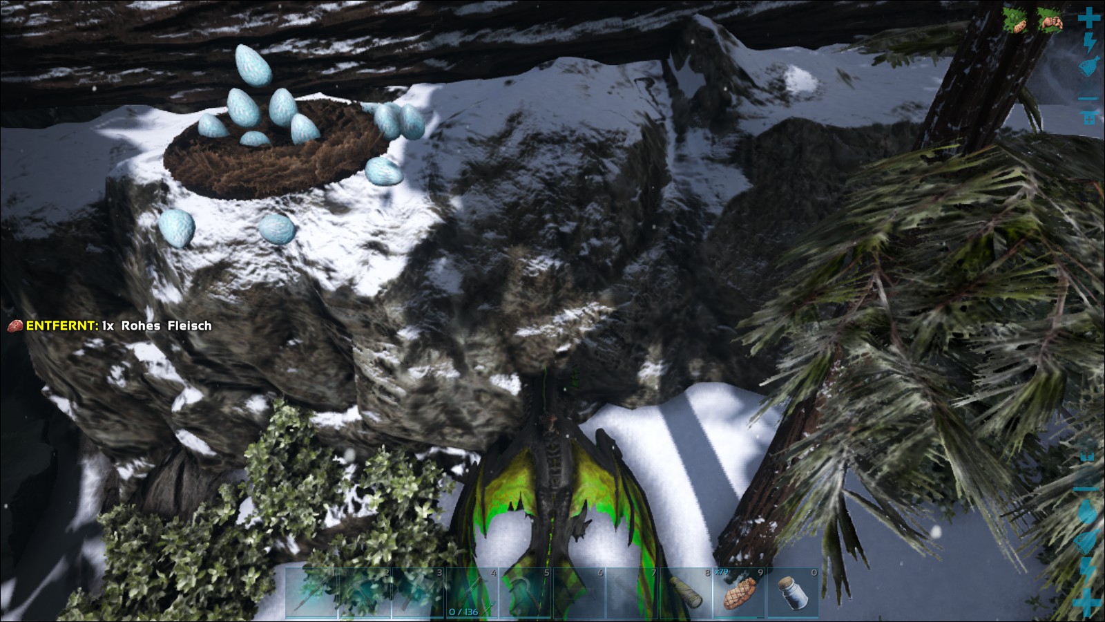 was ungestörte Ice Wyvern so machen