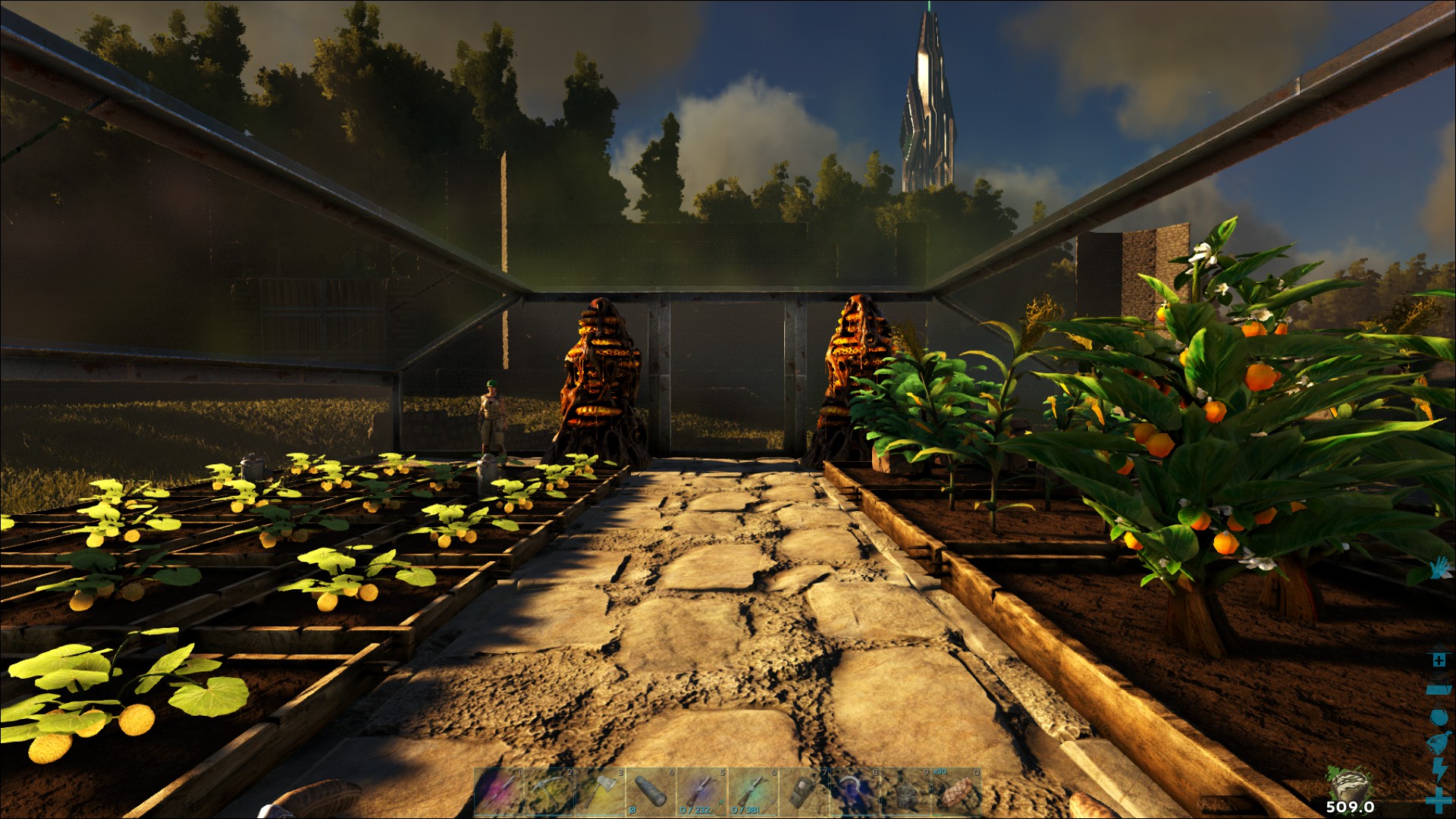 Mein Gewächshaus mit Beehives
