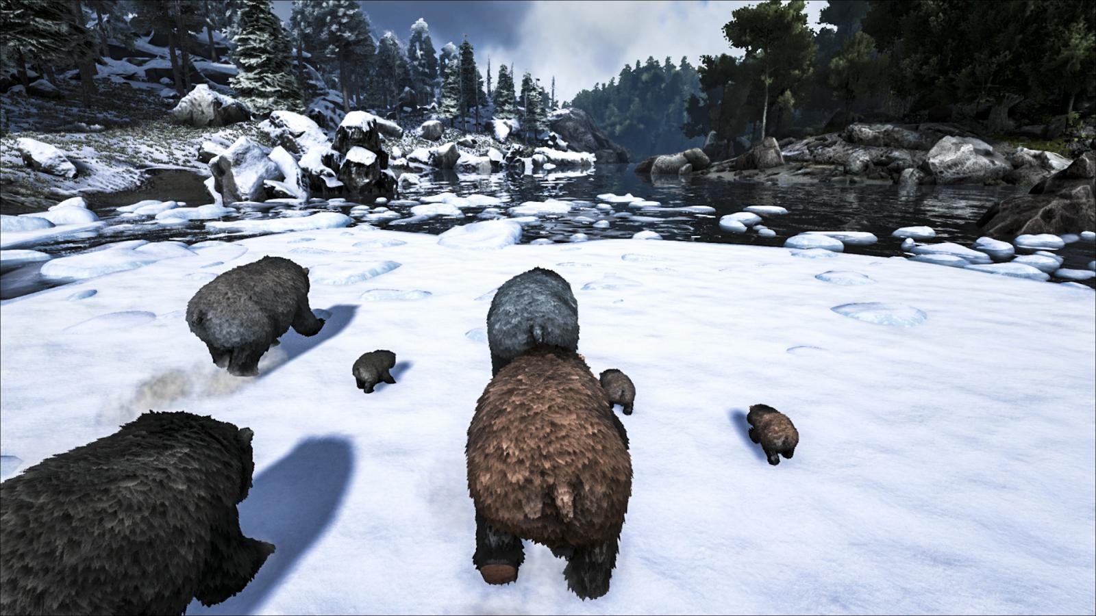 large.575f000685e58_BearFamily.jpg.7d0afcfbabe66f23e1bac417535e0d8c