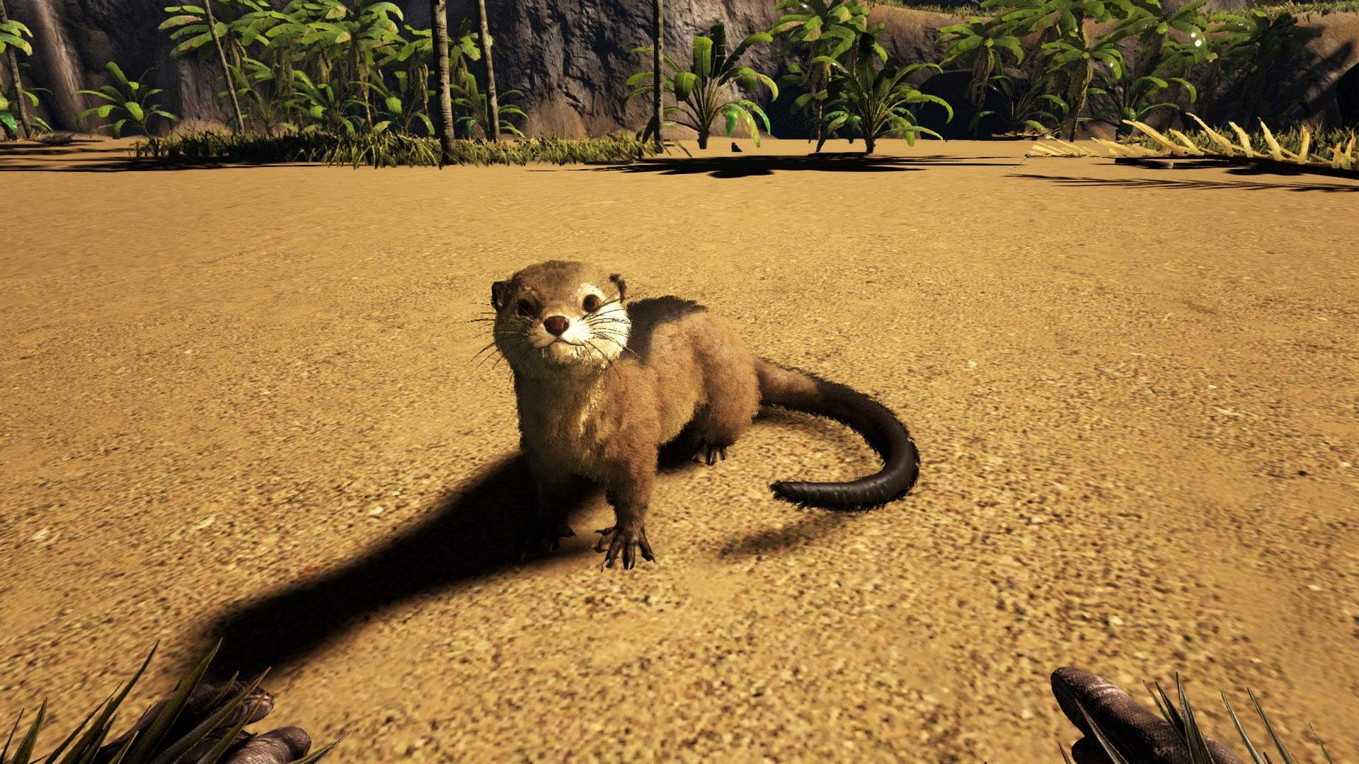 Otter Time!