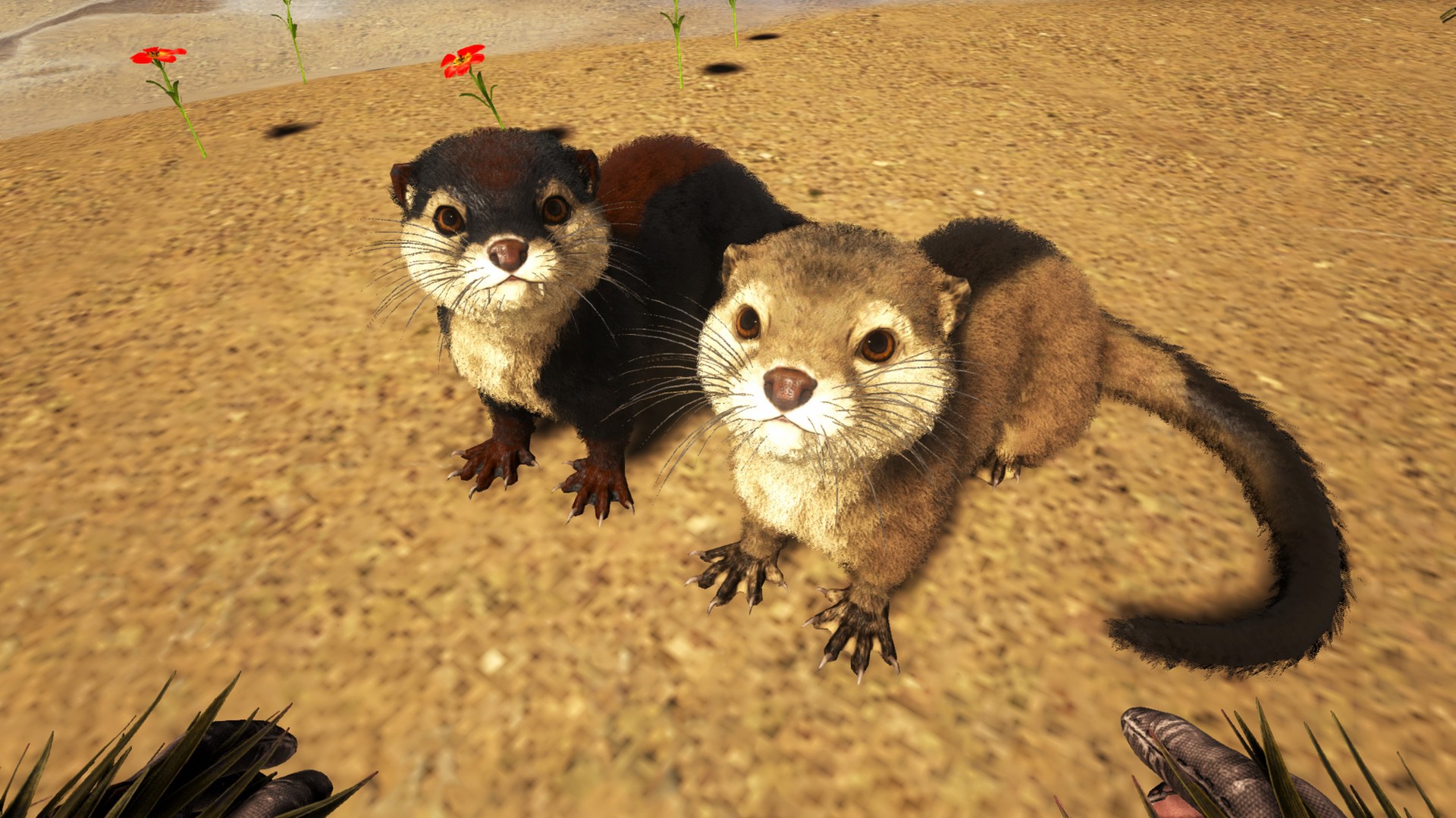 Otter Time!