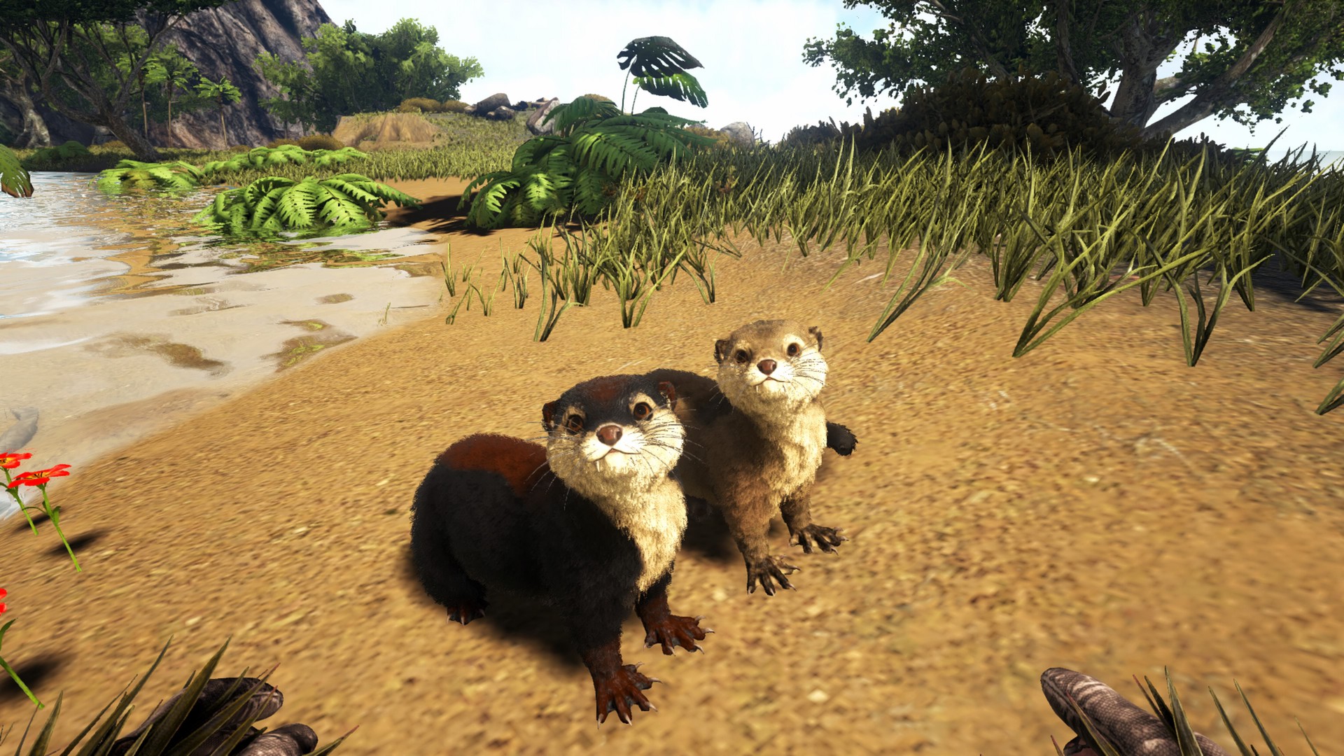 Otter Time!