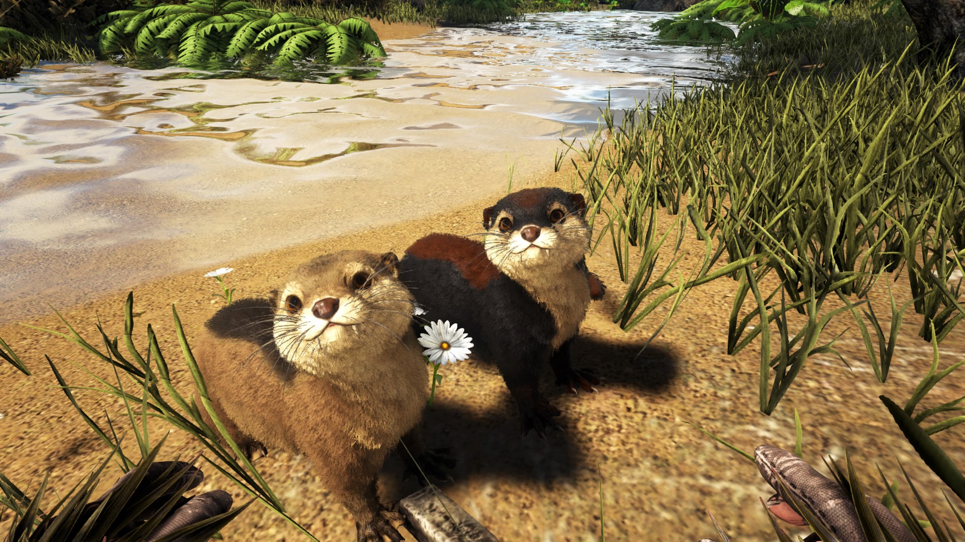 Otter Time!
