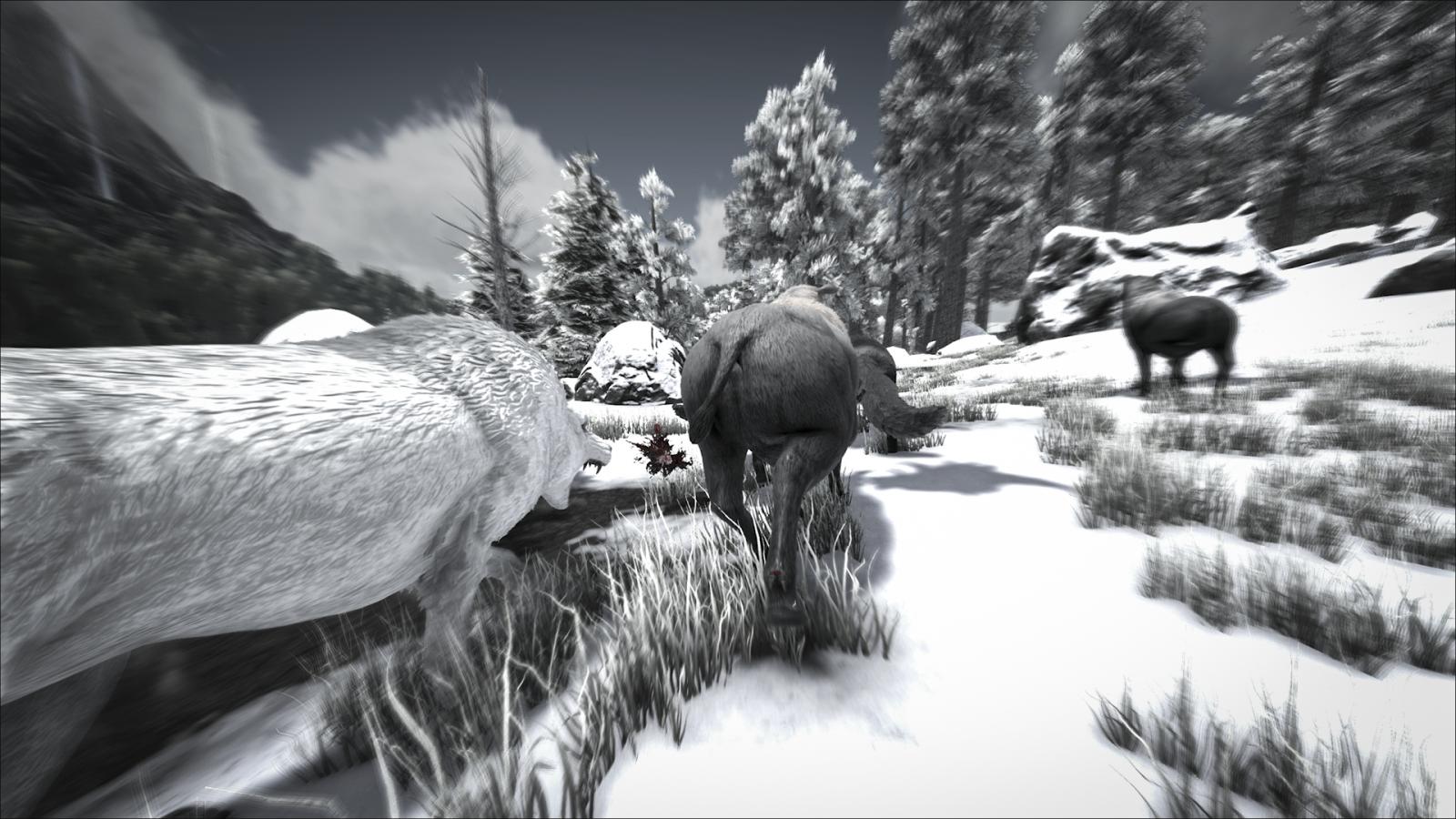 large.575f000b5c141_PrimalSurvivalWolf.jpg.55ad9220aef4c172ab0e43adc7f55a24
