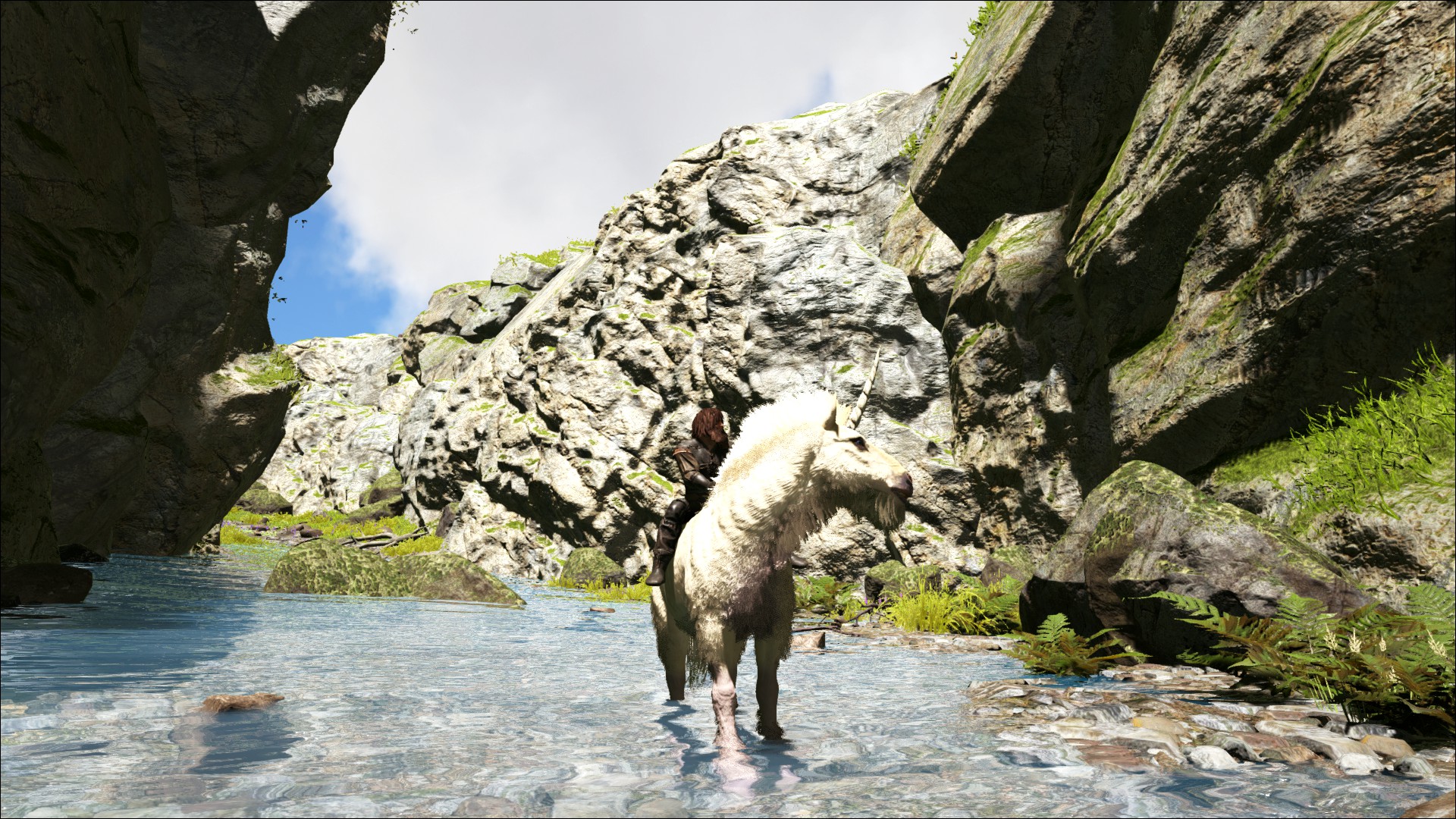 Mein Pferd hat ein Horn!?