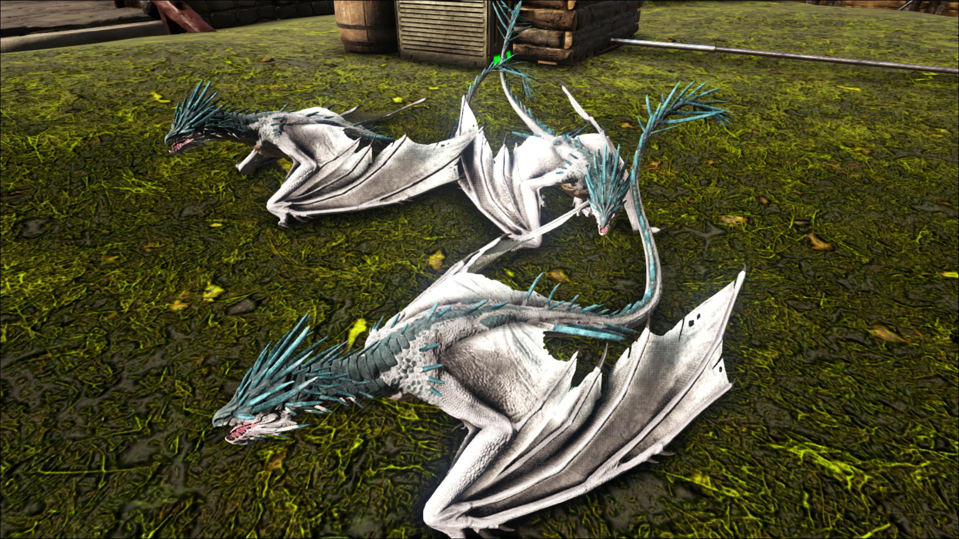 Ice-Wyvern Drillinge (0%)