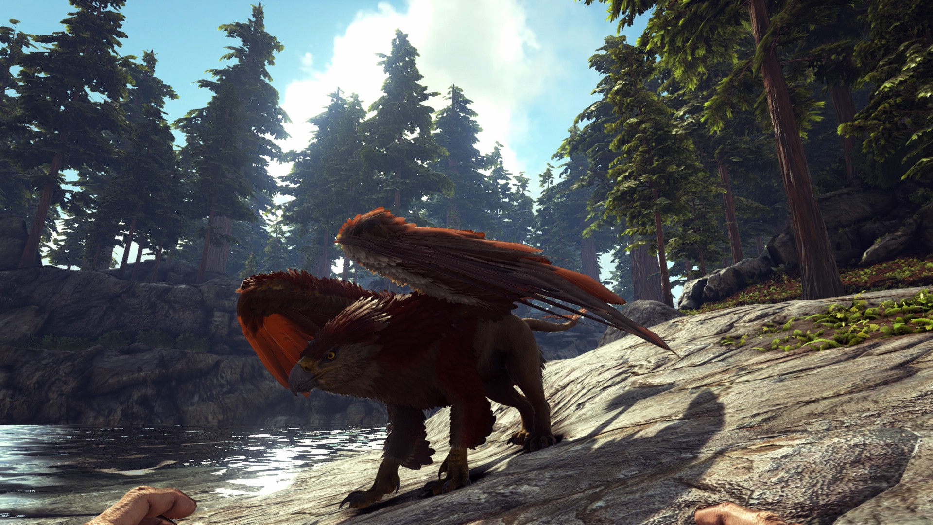 Griffin Time!