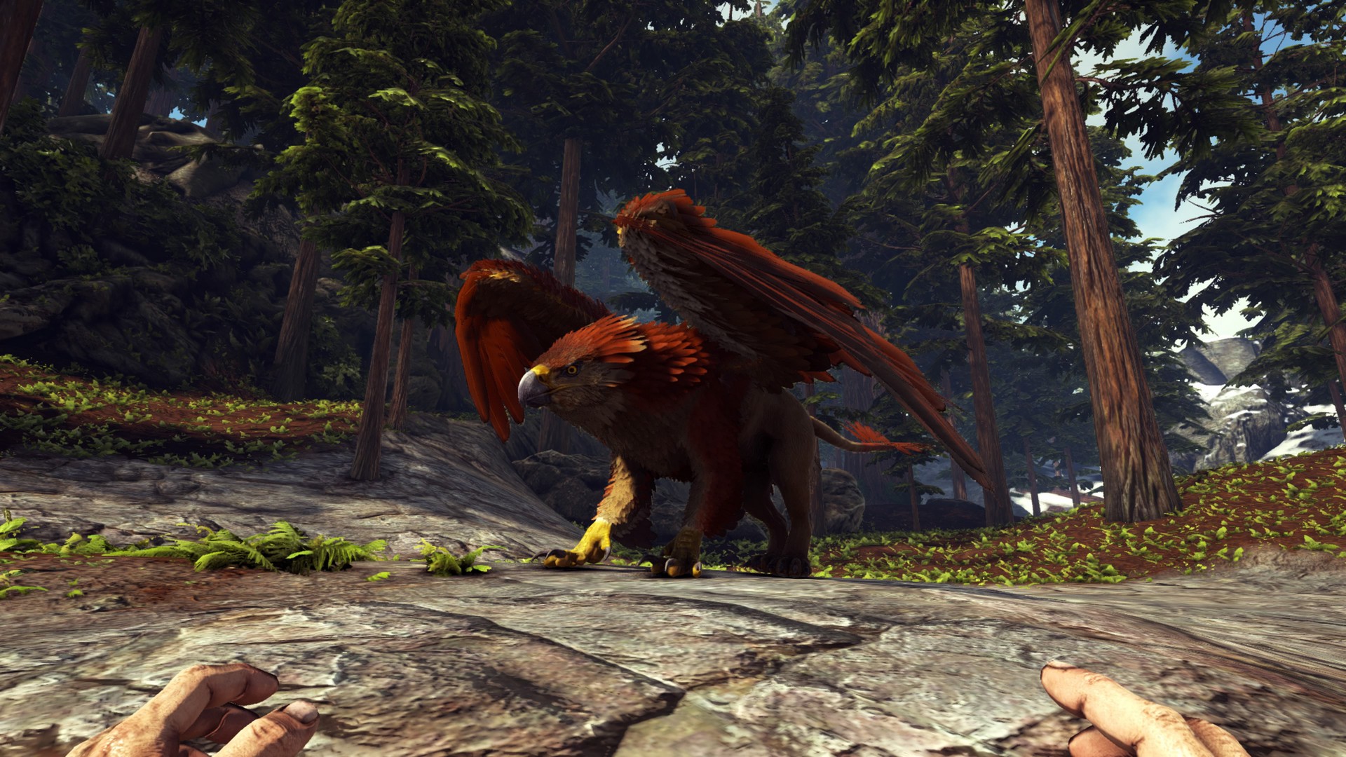 Griffin Time!