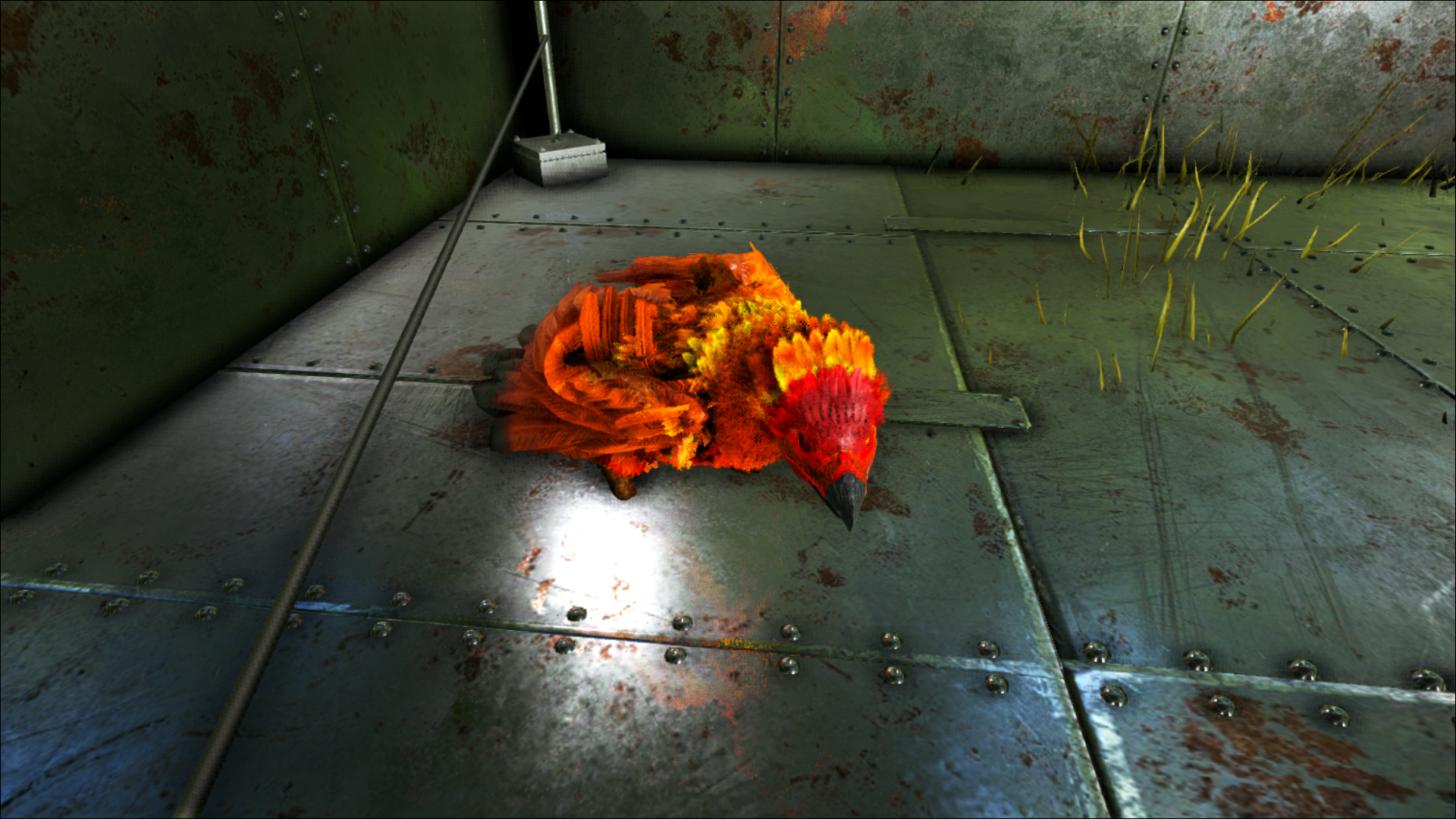 Mein kleiner Argentavis :)