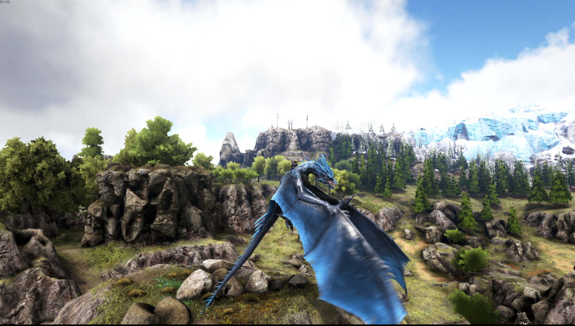 Frostdrache ausgewachsen