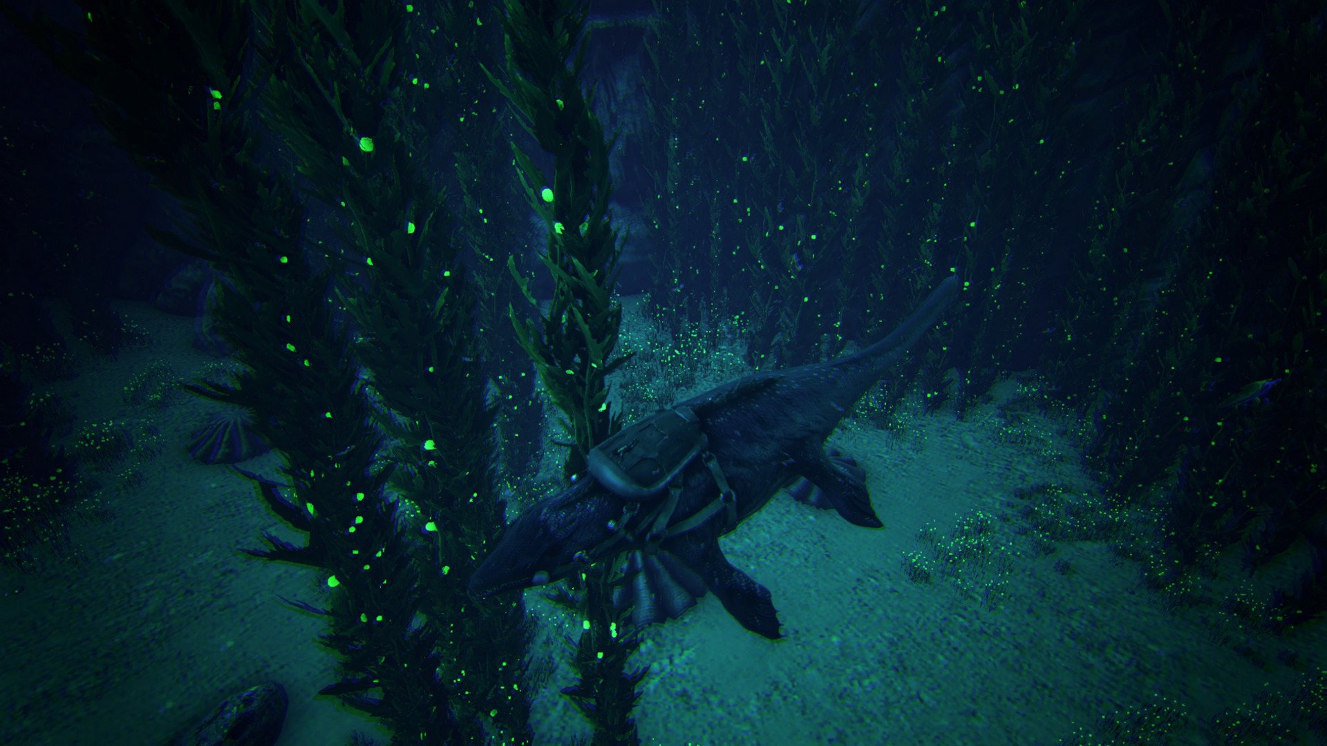 Deep Water!