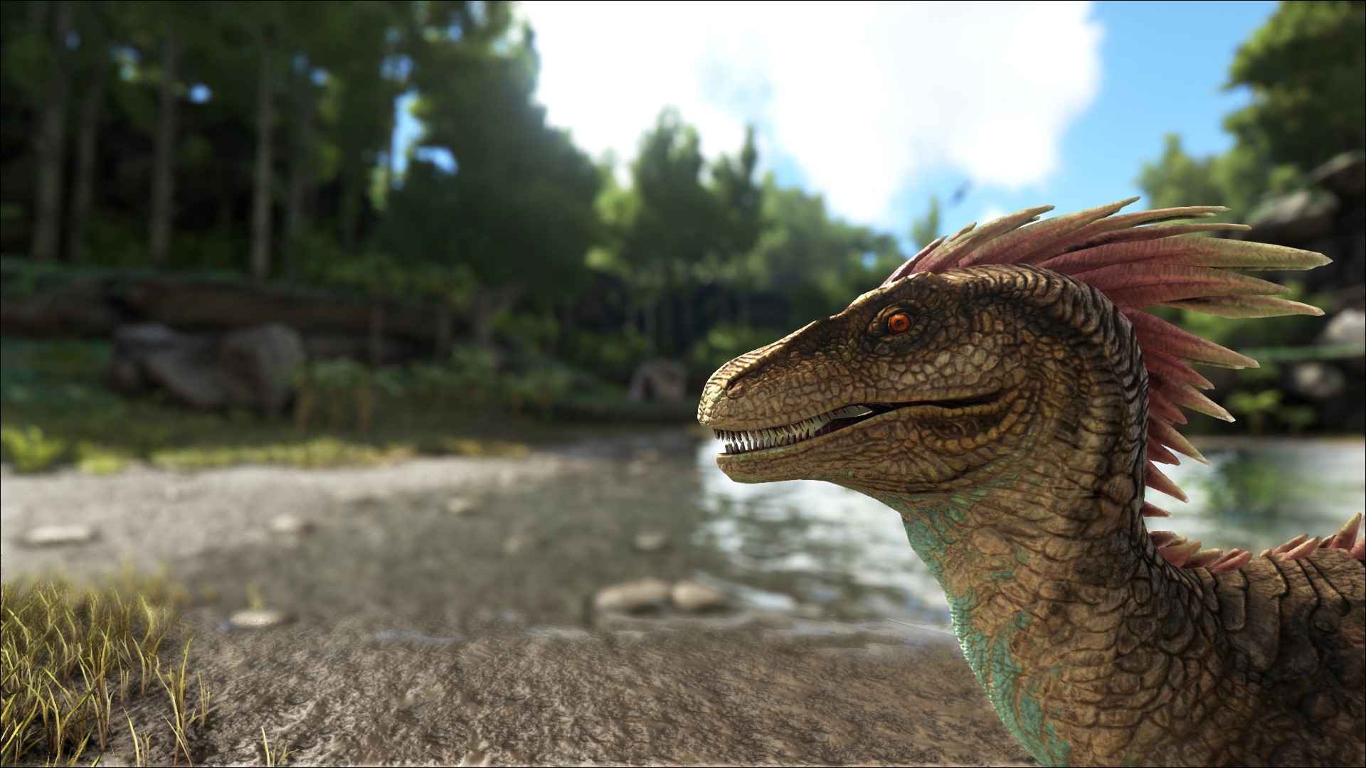 Raptor