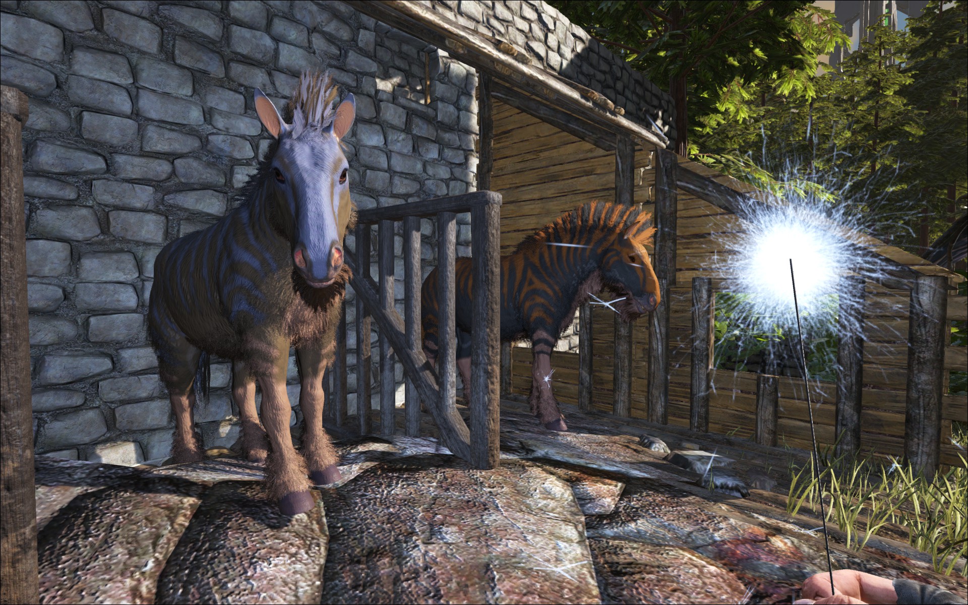 My Little Ark Pony ^^