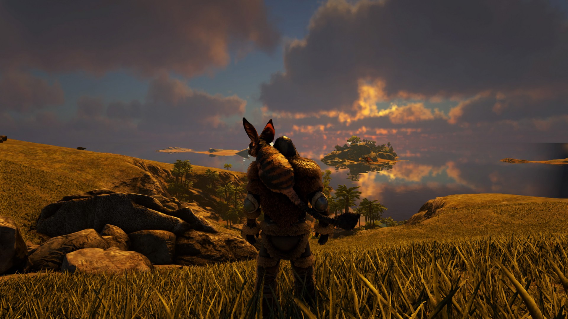 Nice View!