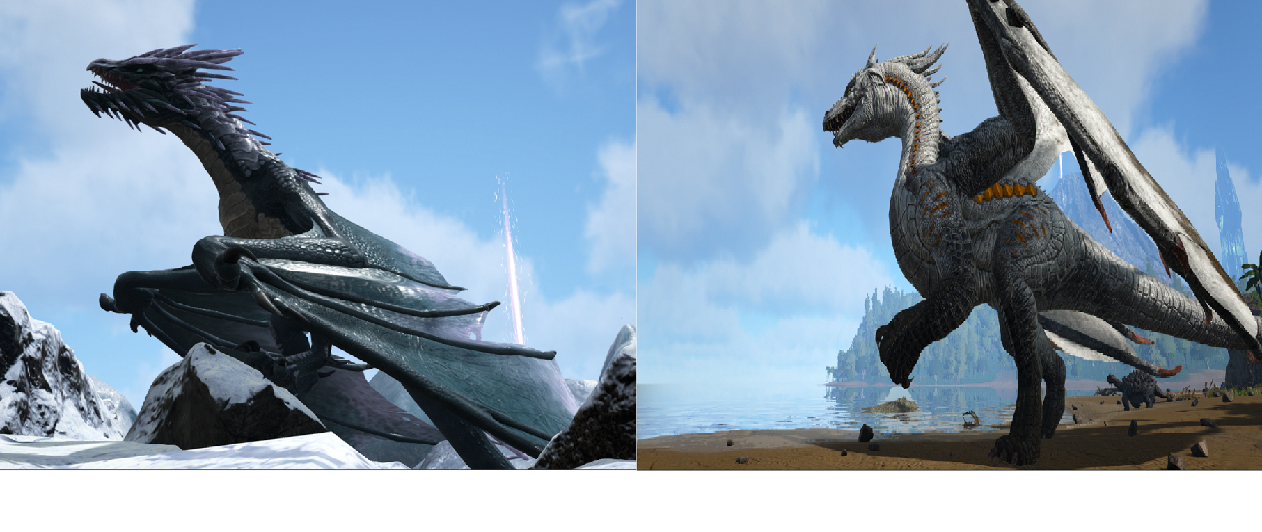 Drachen und Wyvern