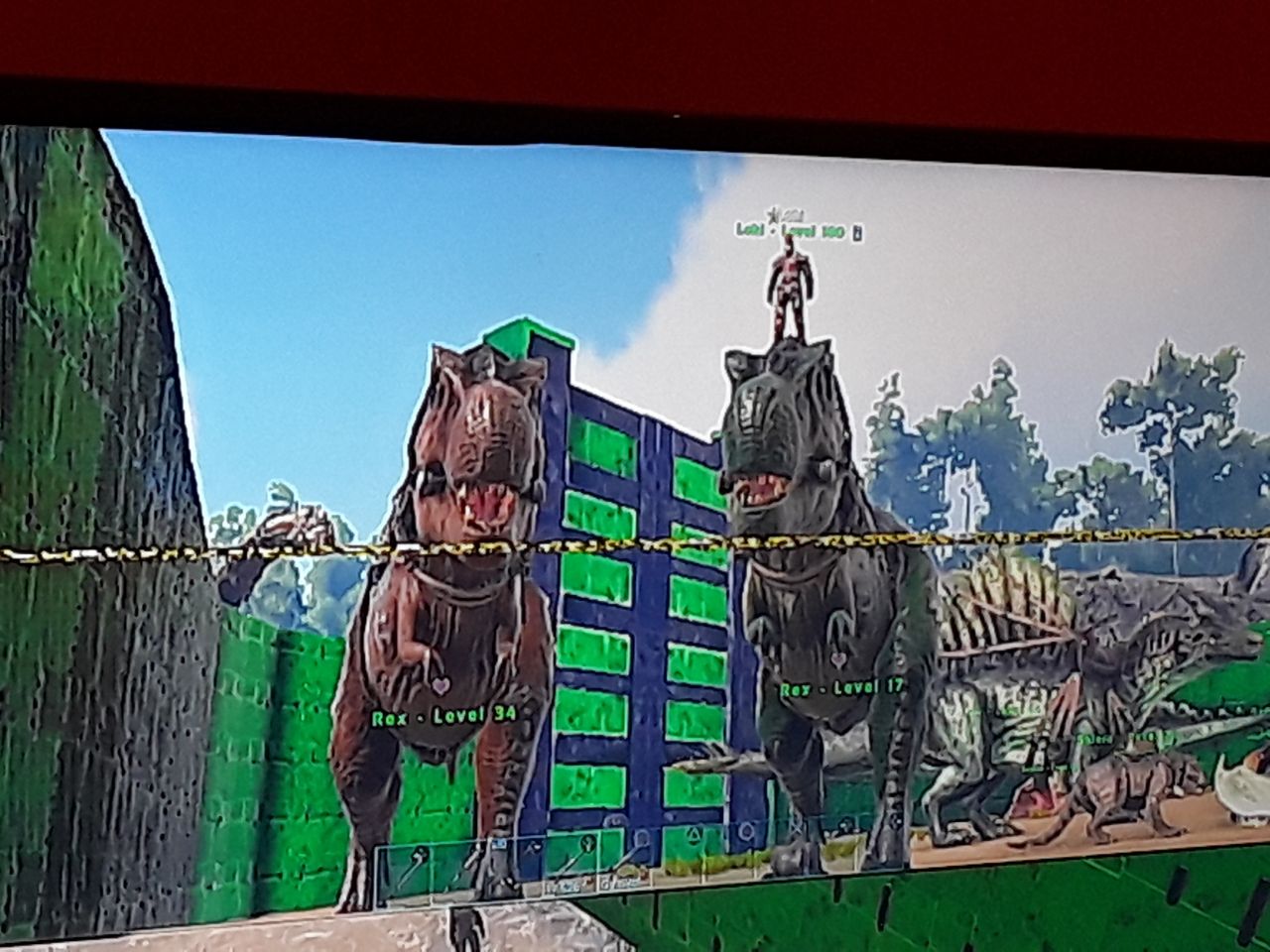 Doubles Rex