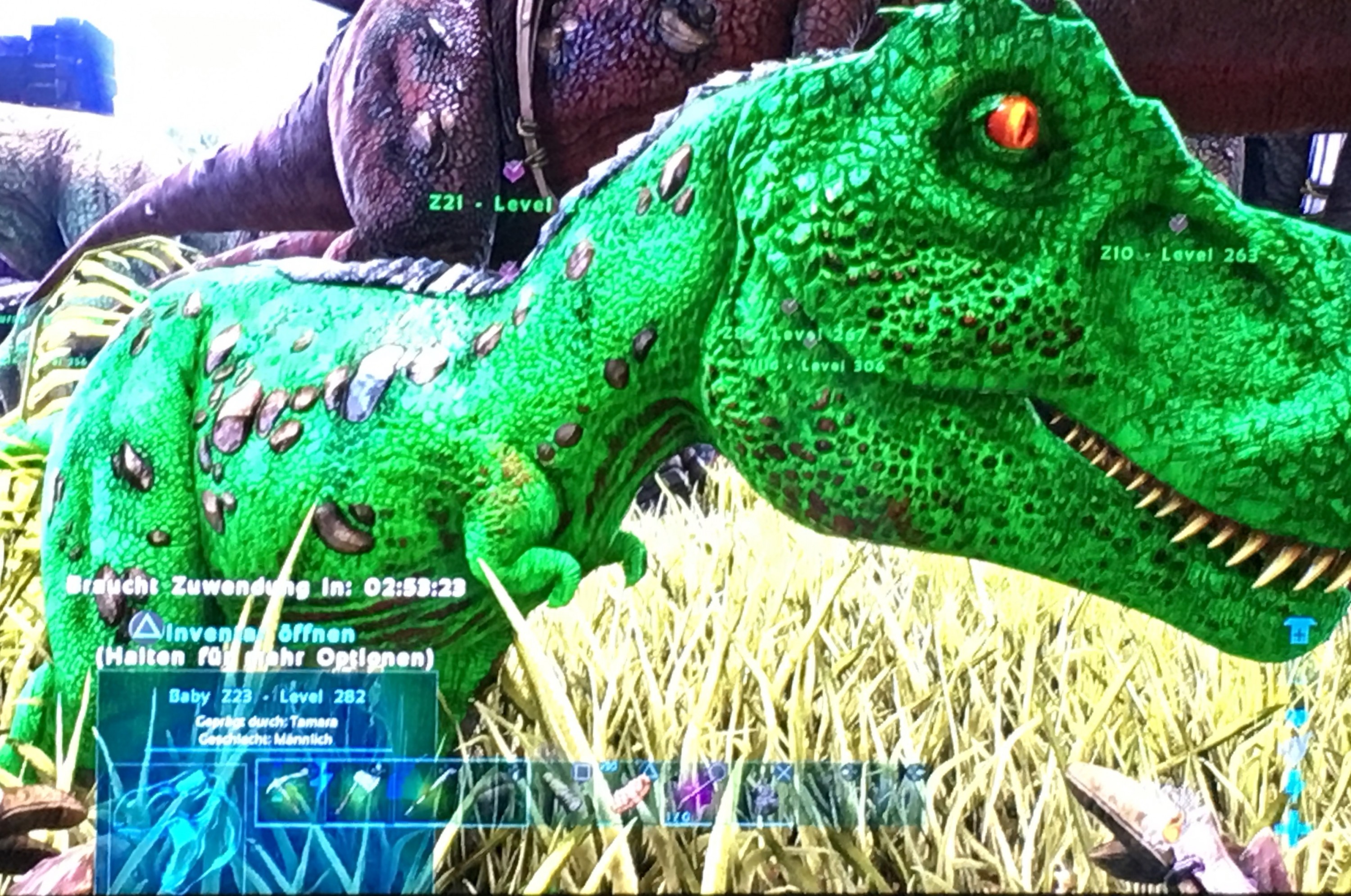 Ein gelungener Ark-Tag