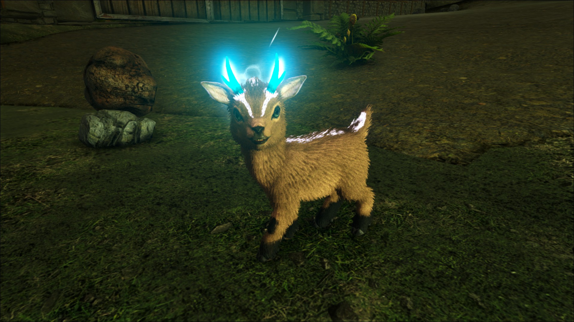 Shinehorn