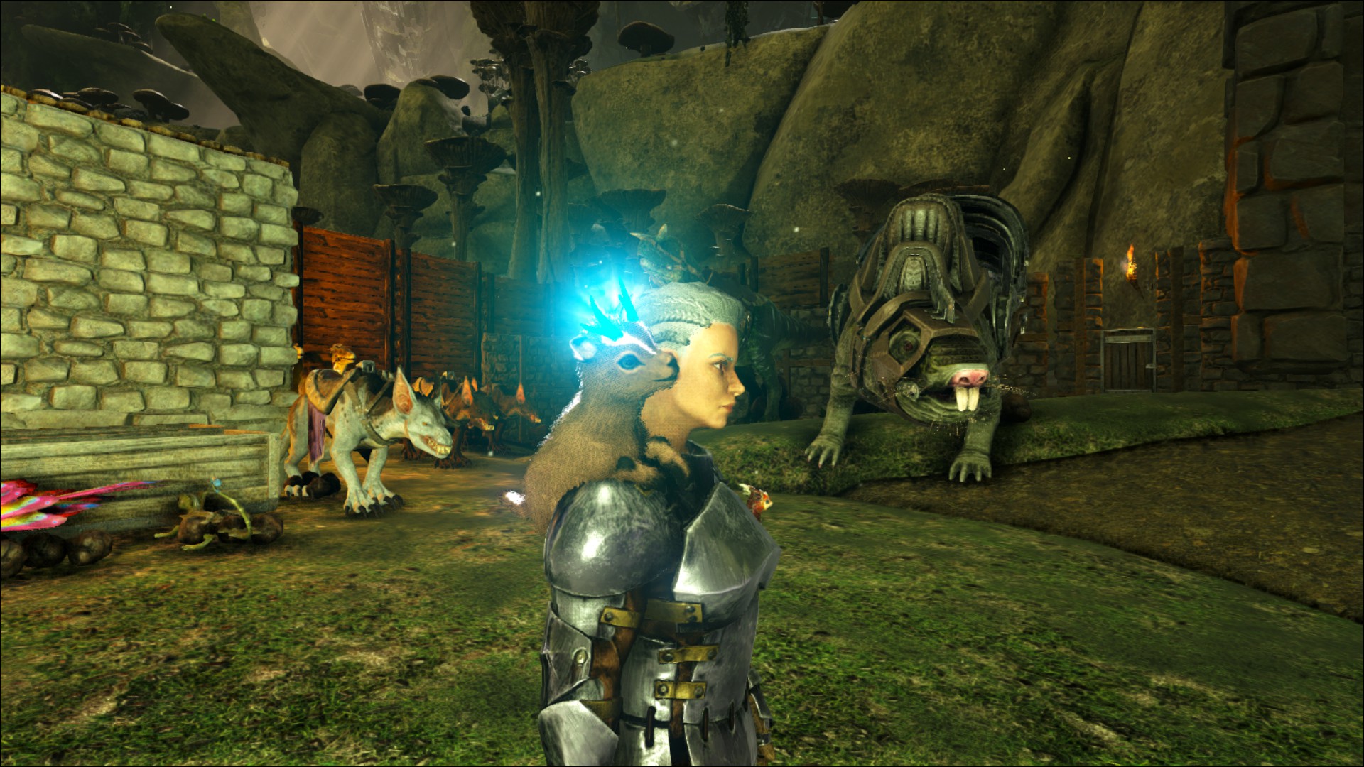 Shinehorn