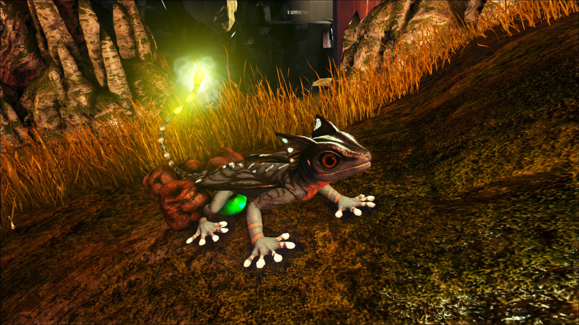 Glowtail