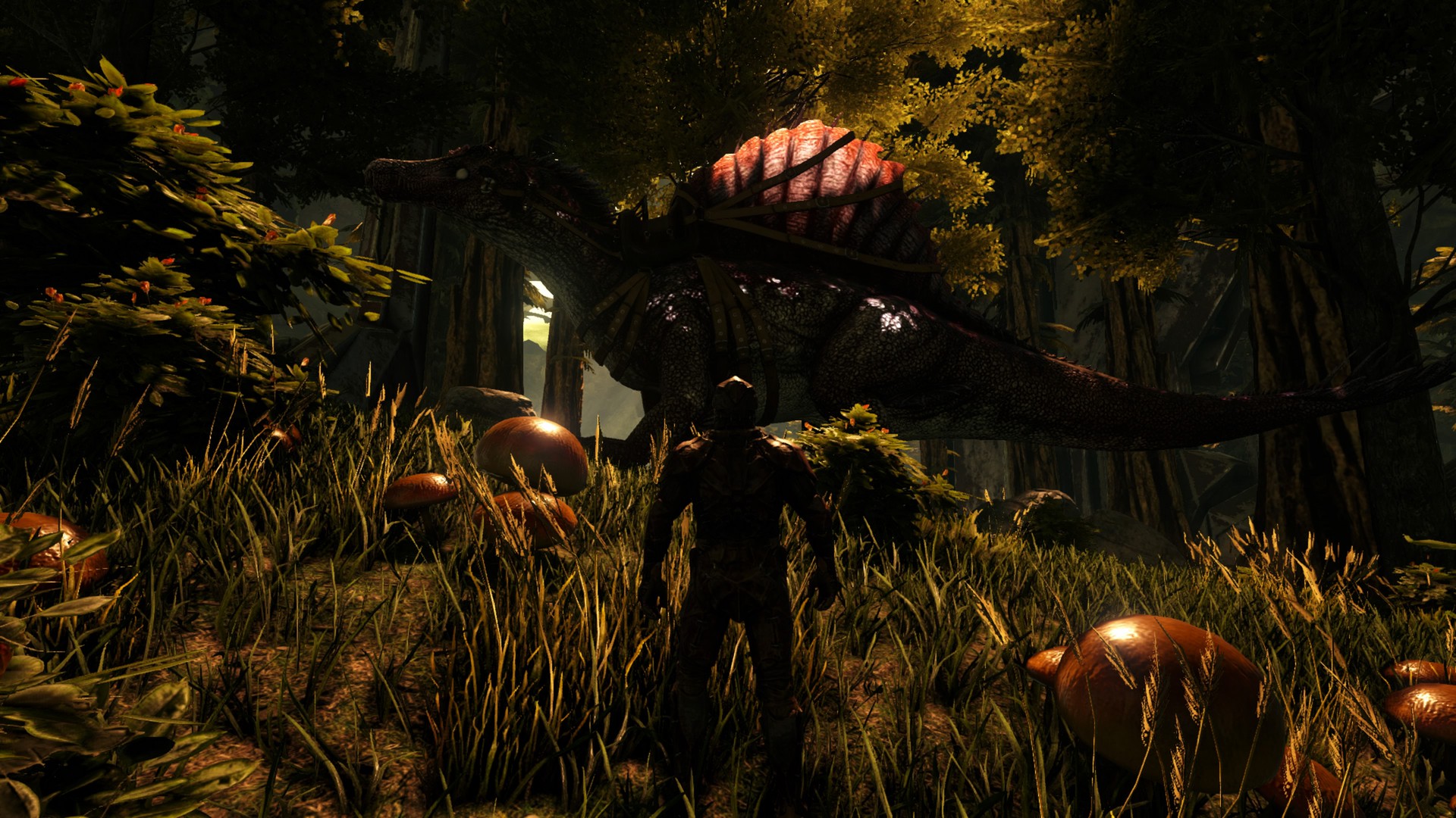 Mein neuer Freund auf Aberration!