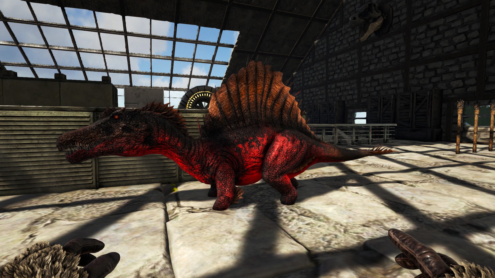 Christmas Spino!